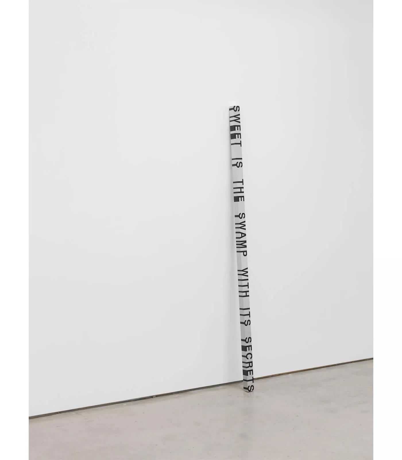 Image for exhibition titled Roni Horn
