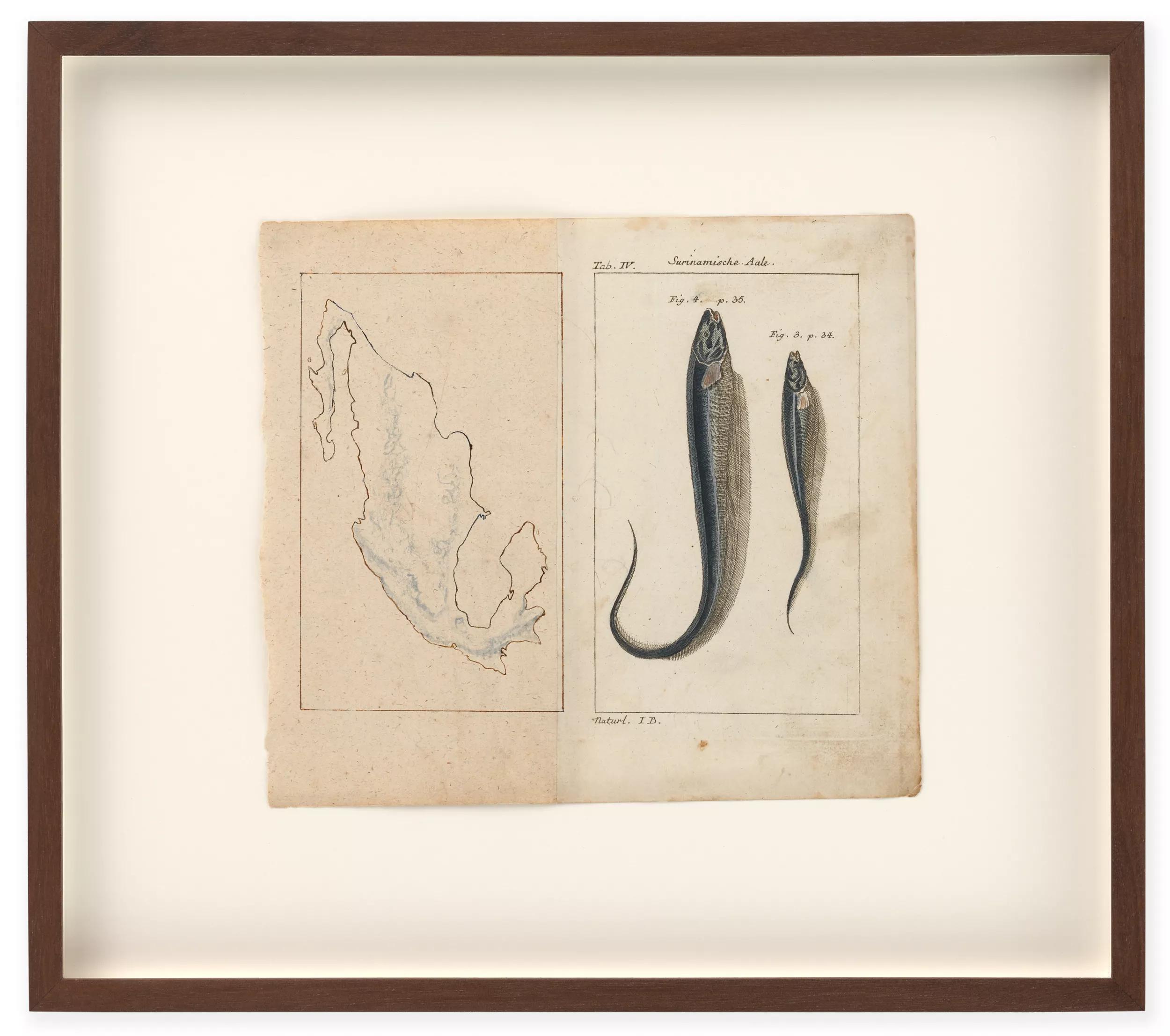 Image for exhibition 