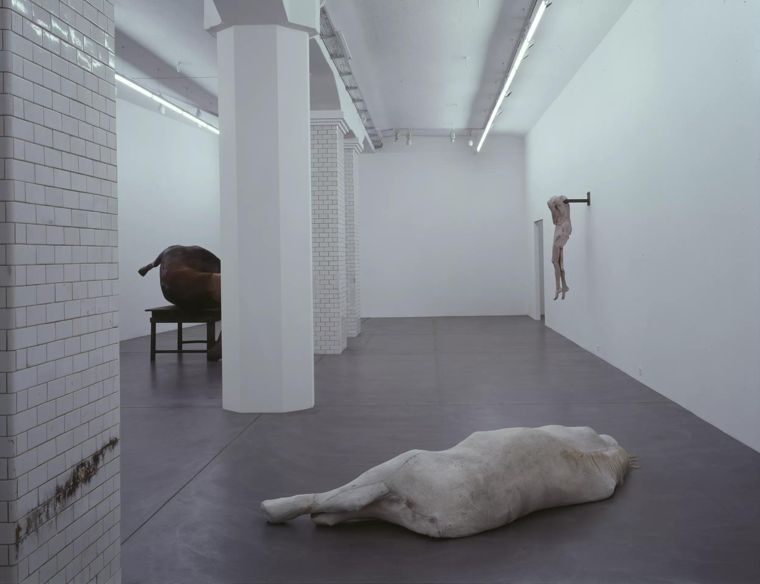 Installation view image for Installation views