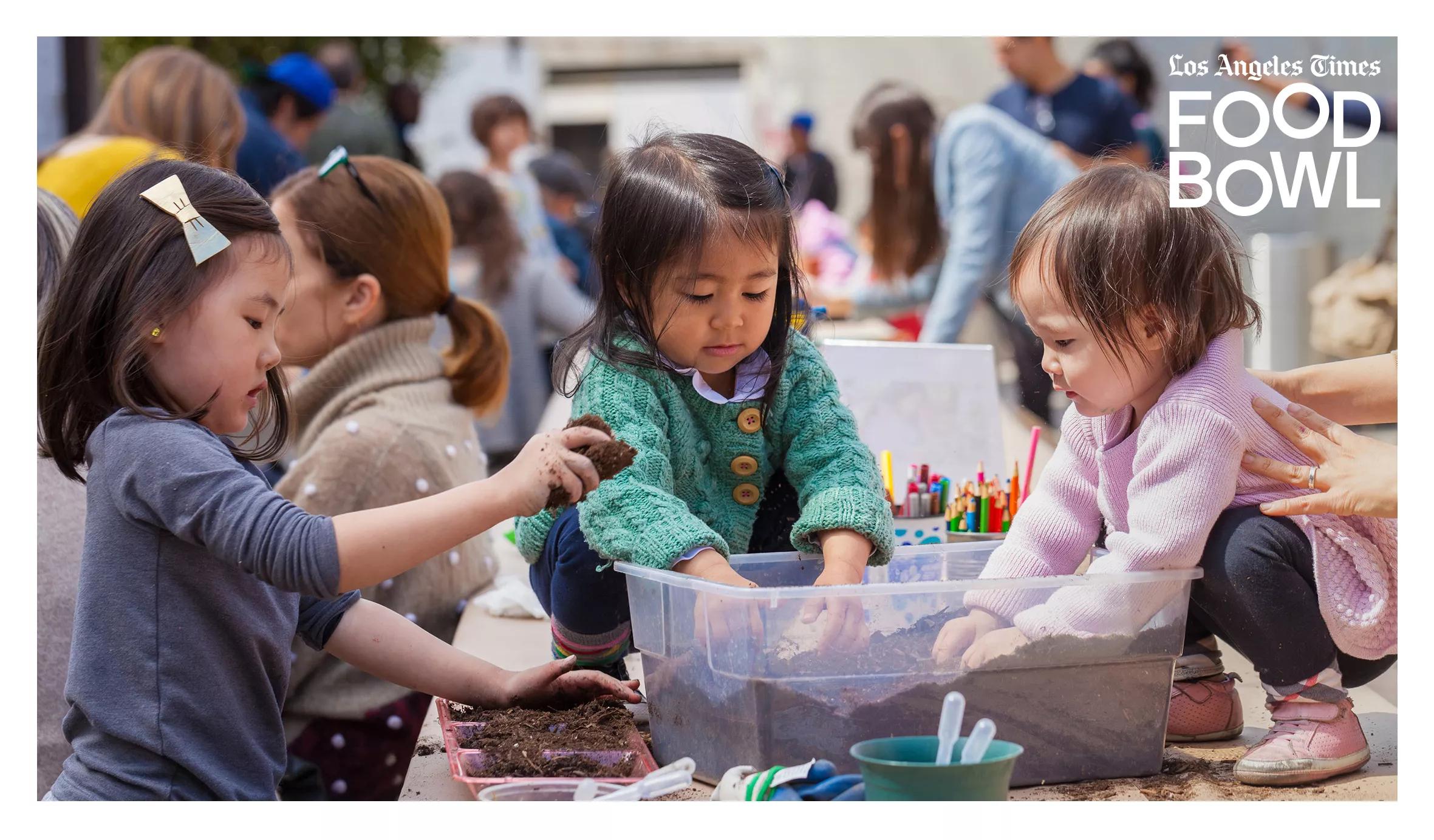 Hero image for event titled Family Garden Workshop: Seed to Table
