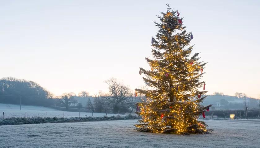 Hero image for event titled Festive Family Saturday