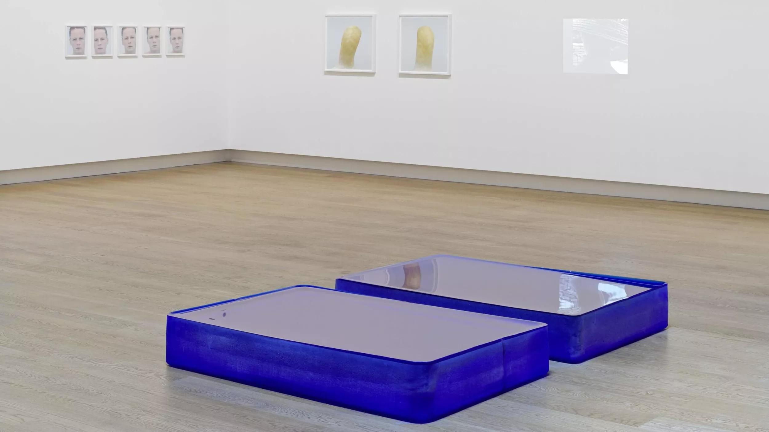 Image for exhibition 