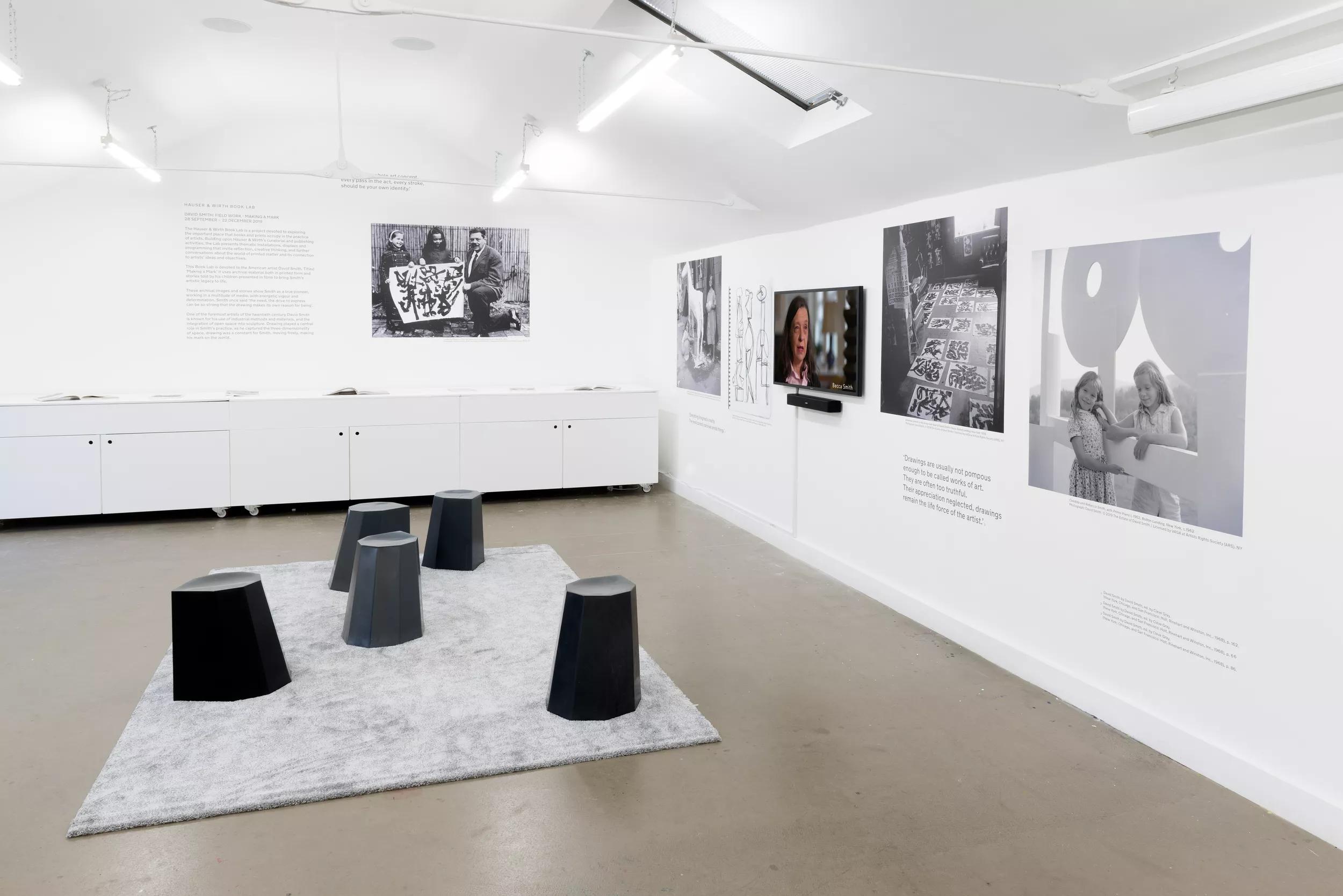 Image for David Smith: Field Work – Making a Mark