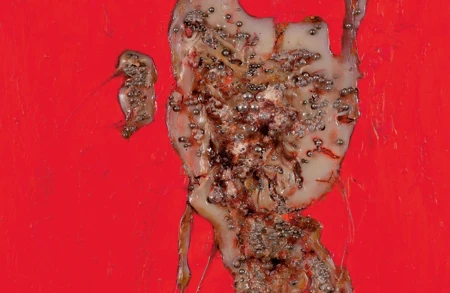 Image for ursula titled Playing with Dead Things