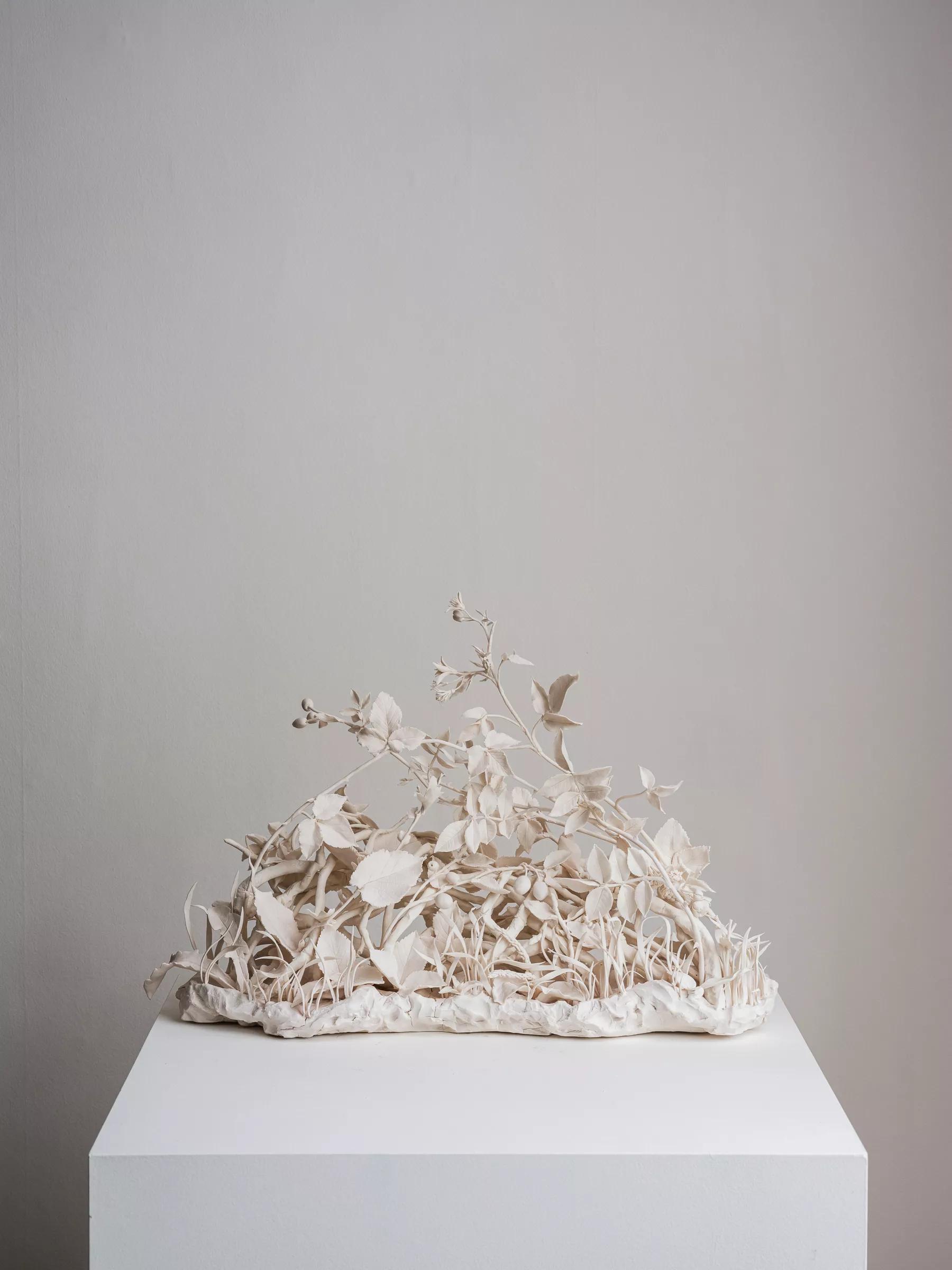 Image for exhibition titled Katie Spragg