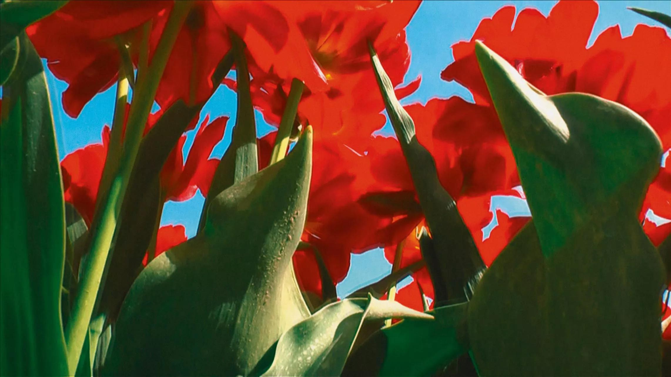 Image for exhibition 