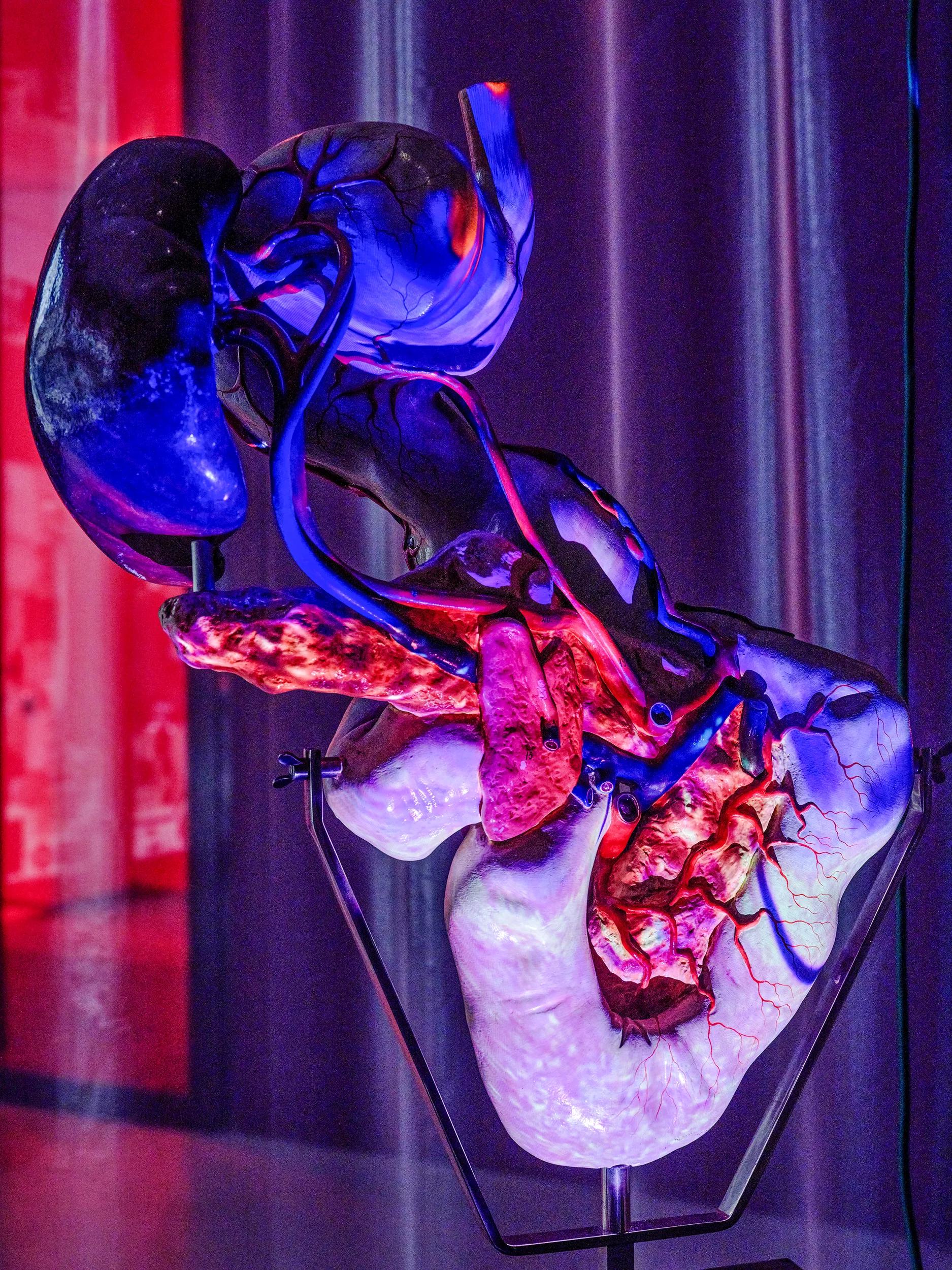 Image for exhibition titled Pipilotti Rist