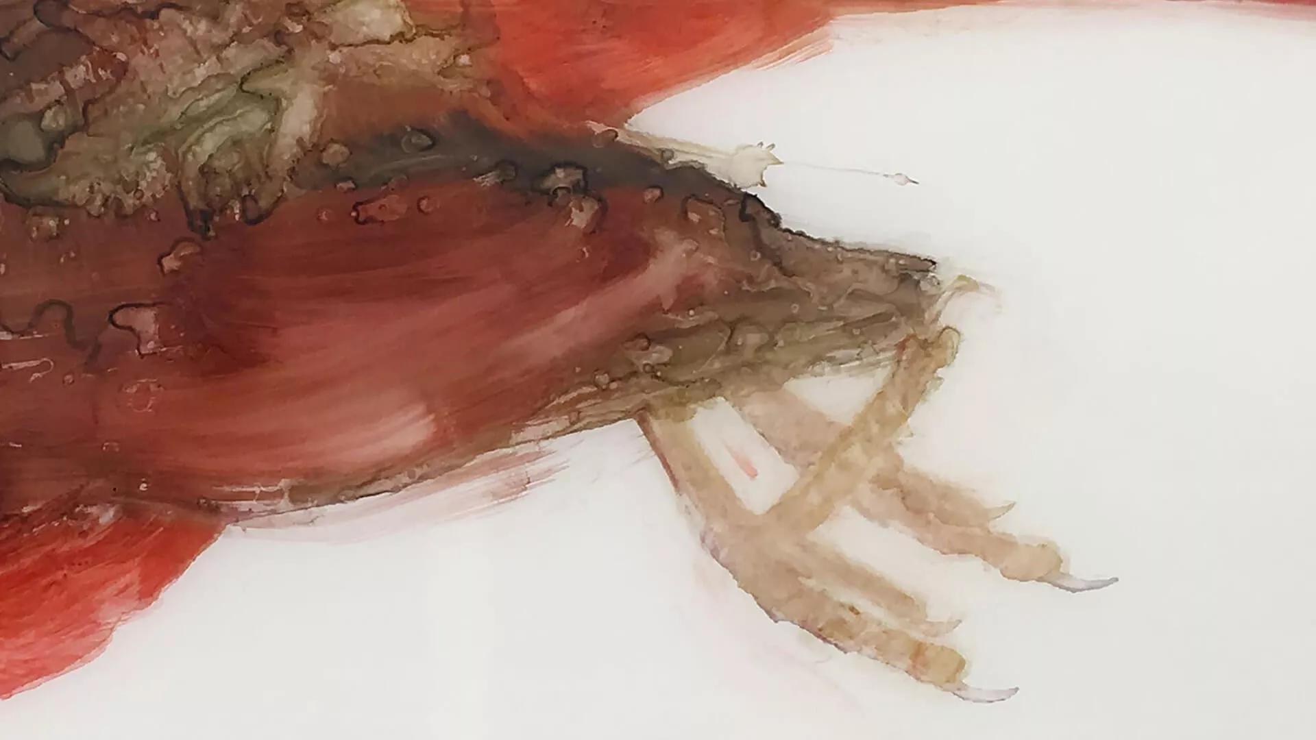 Image for exhibition 