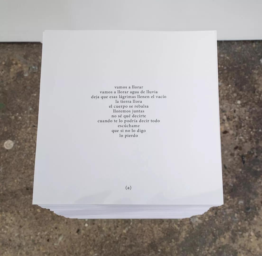 Thumbnail image for exhibition titled Vamos a llorar