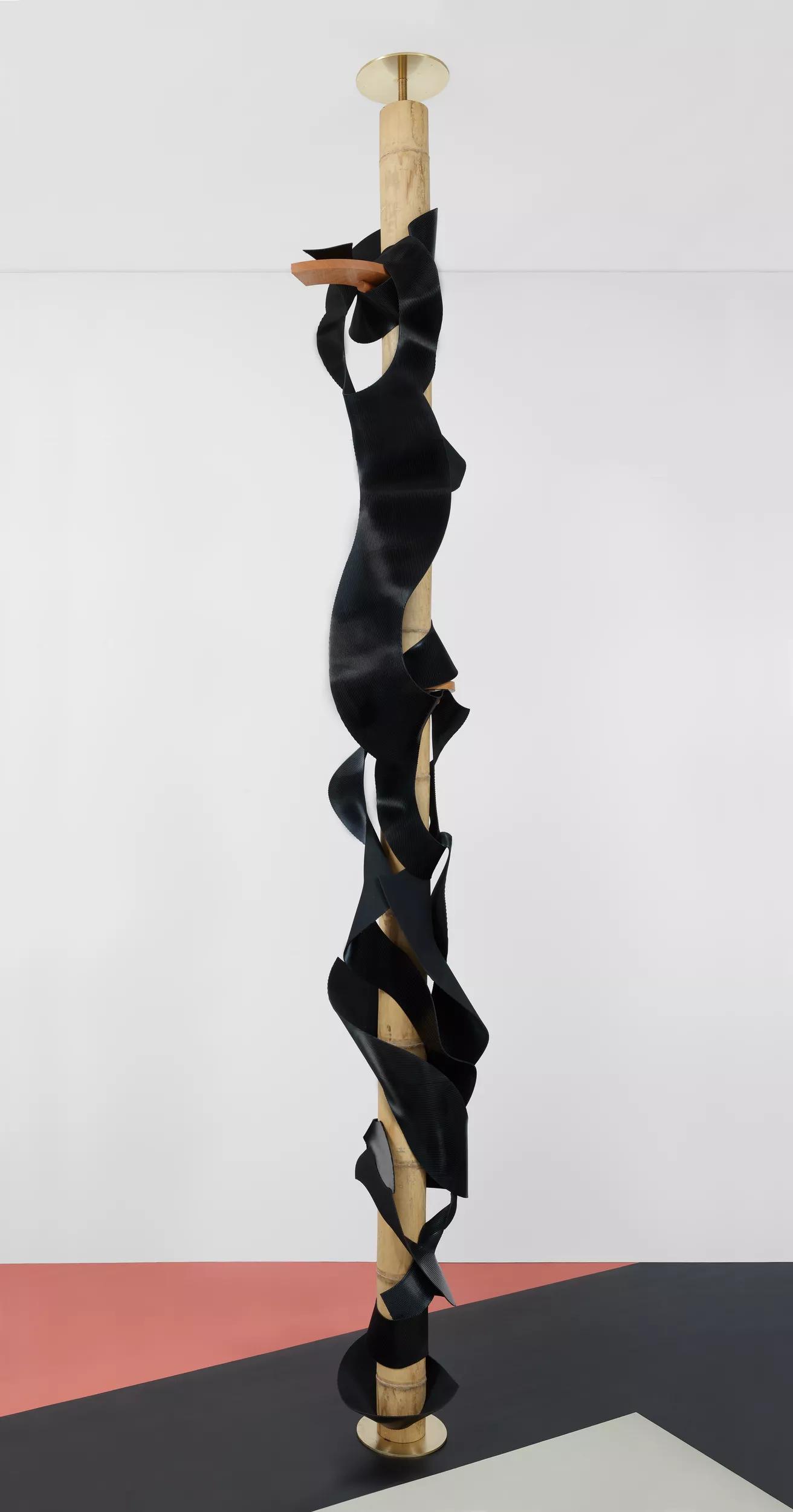 Image for exhibition titled Leonor Antunes