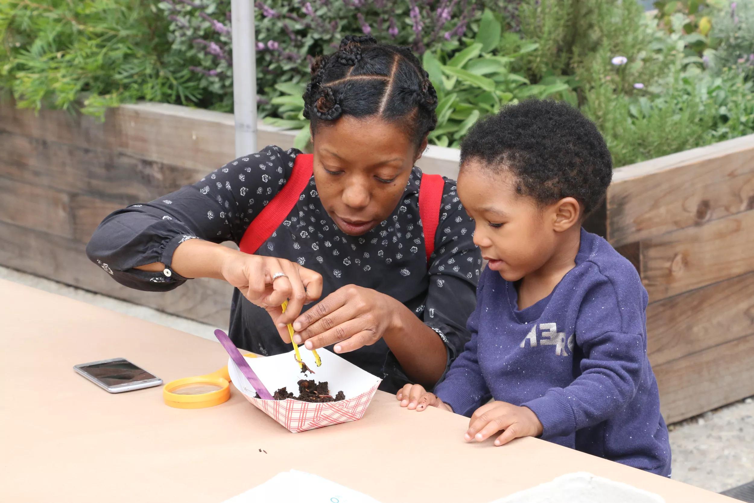 Hero image for event titled Family Garden Workshop: Doing the Most with Compost