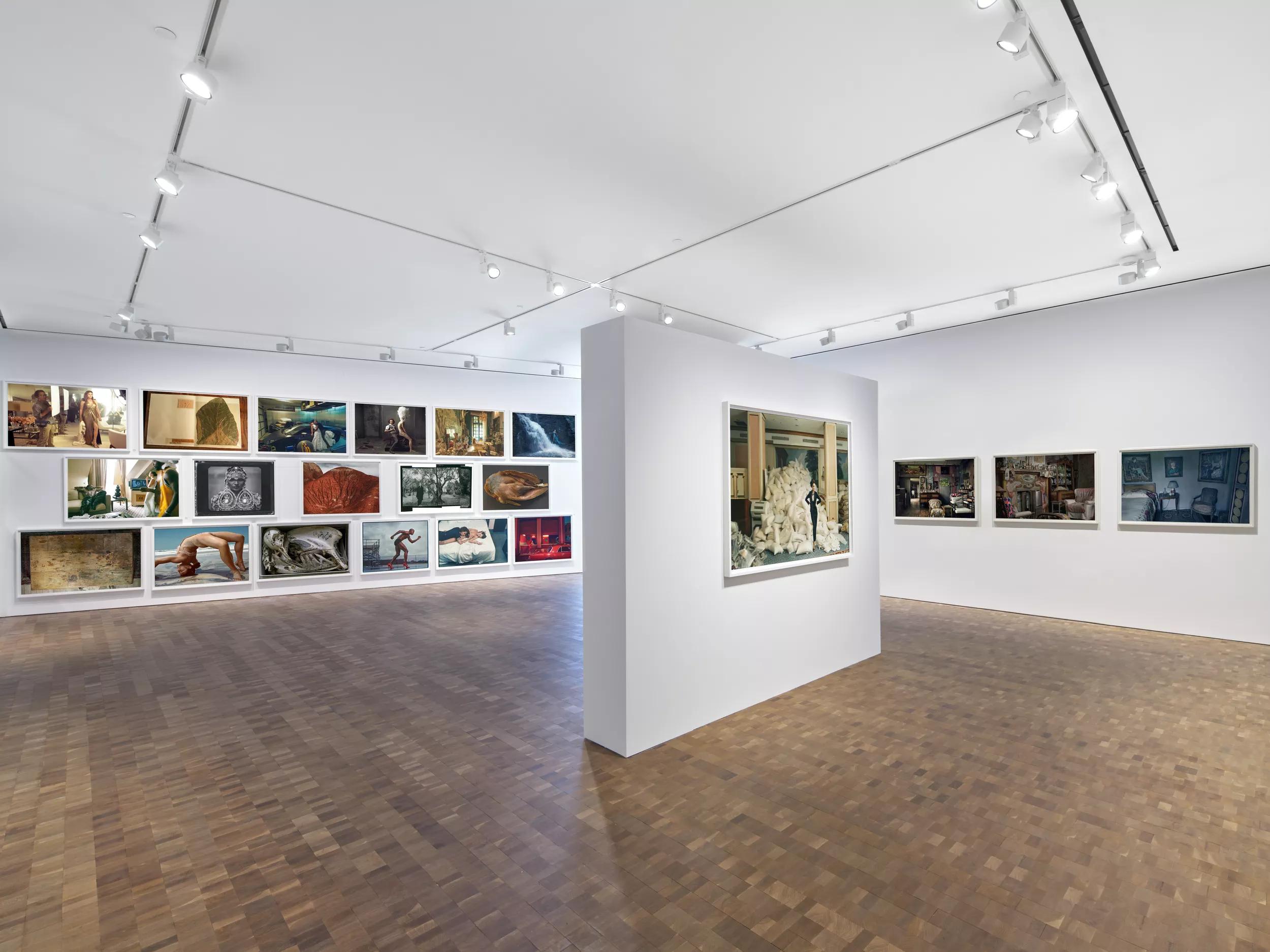 Image for exhibition 