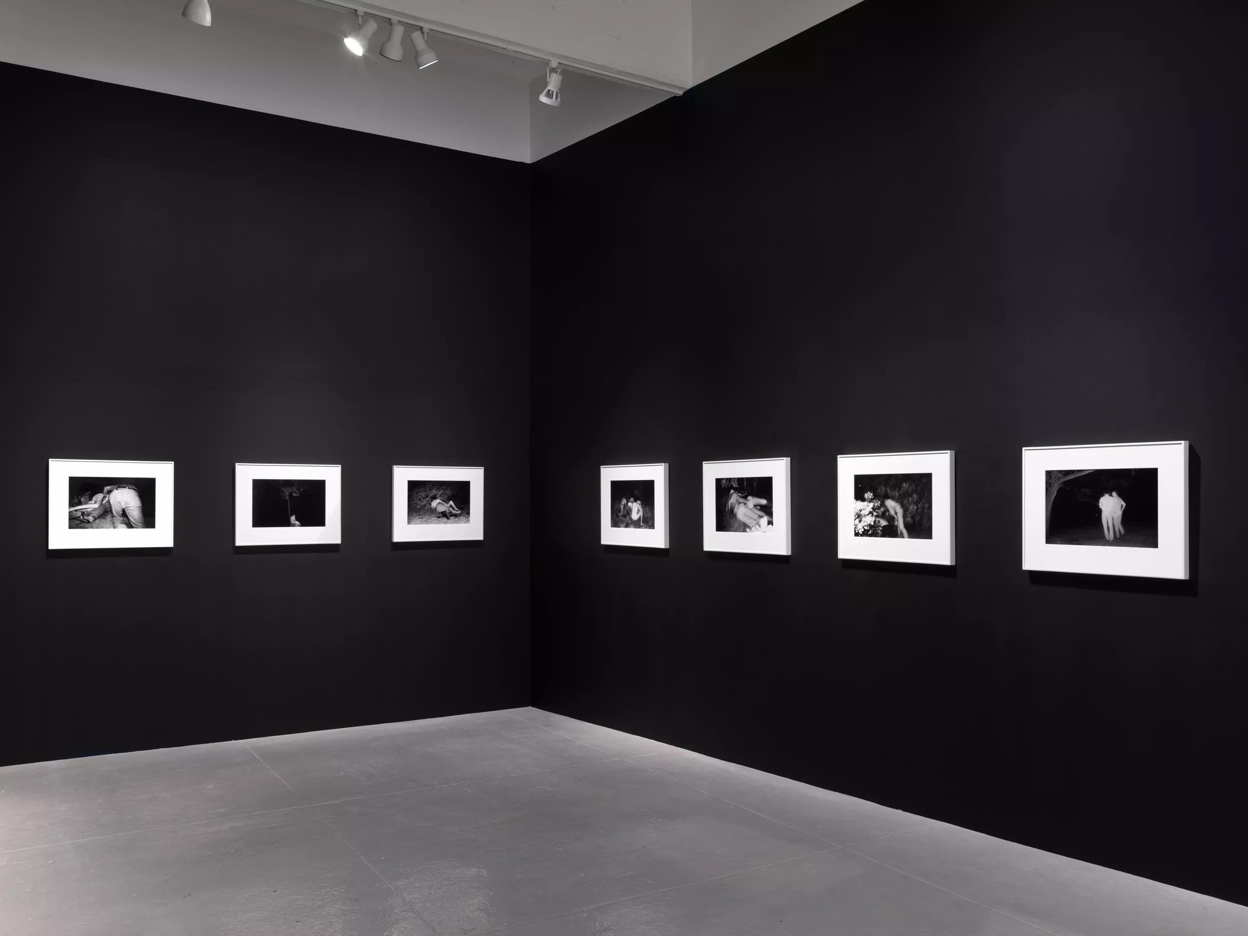 Installation view image for Installation views