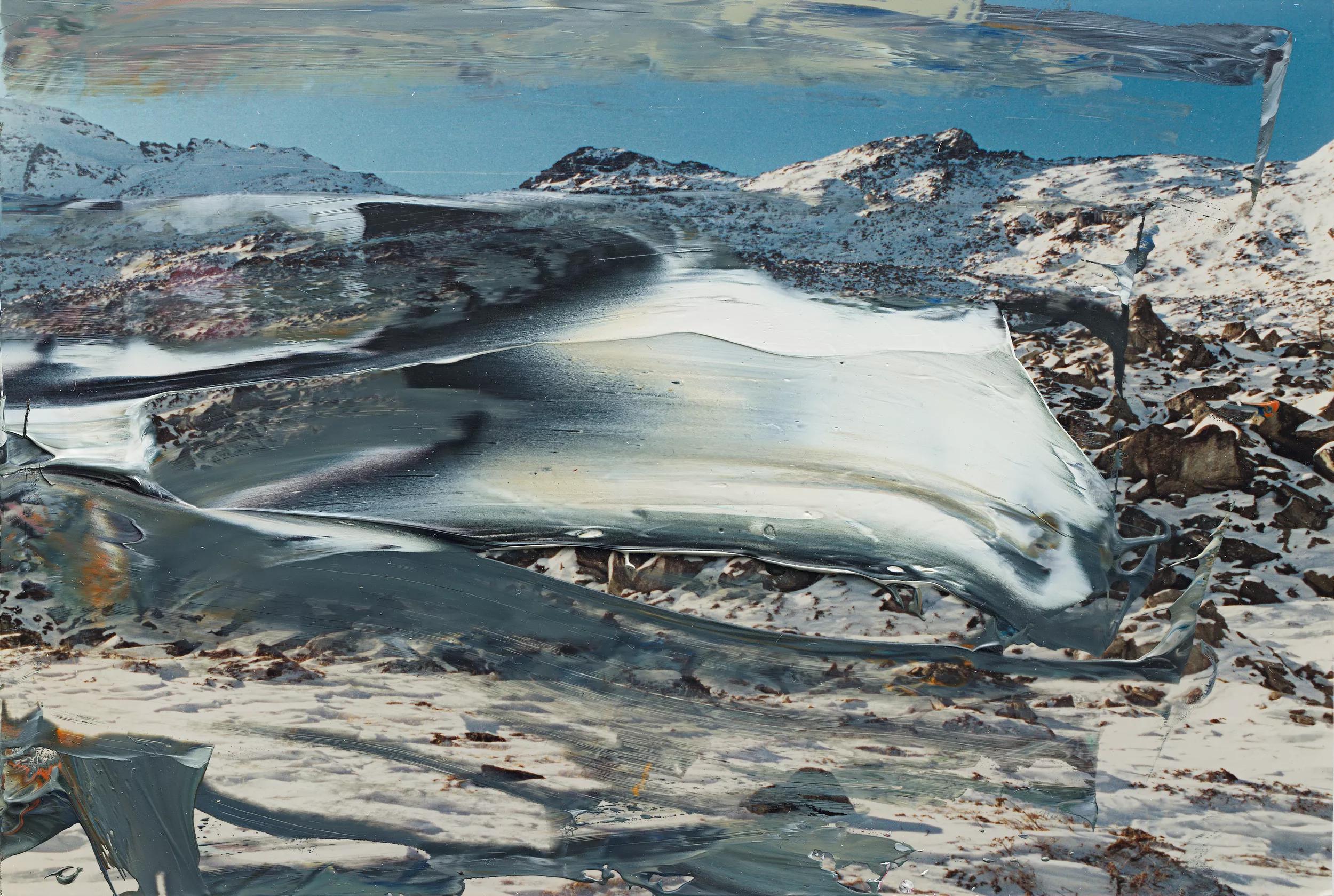 Image for exhibition titled Gerhard Richter
