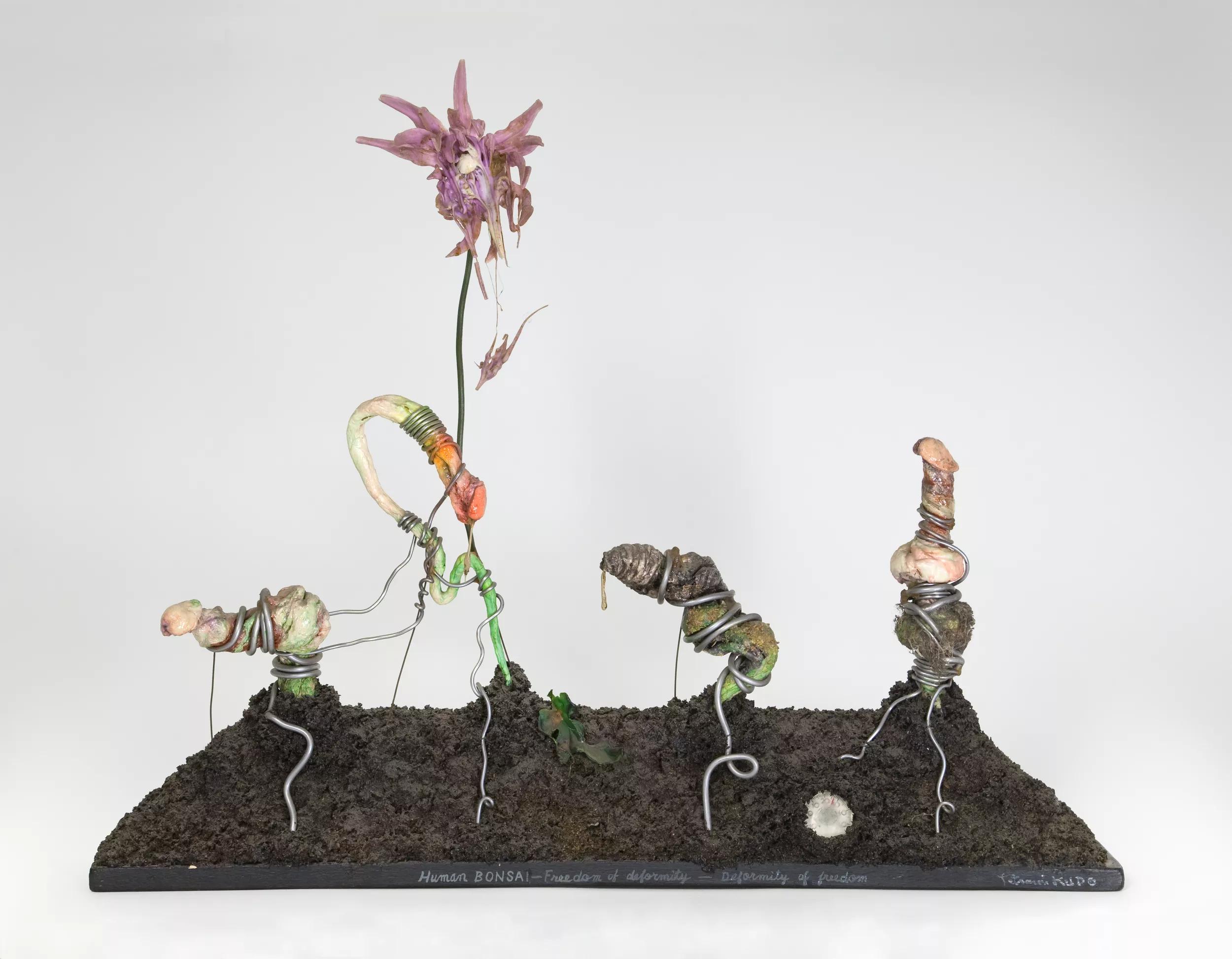 Image for exhibition 
