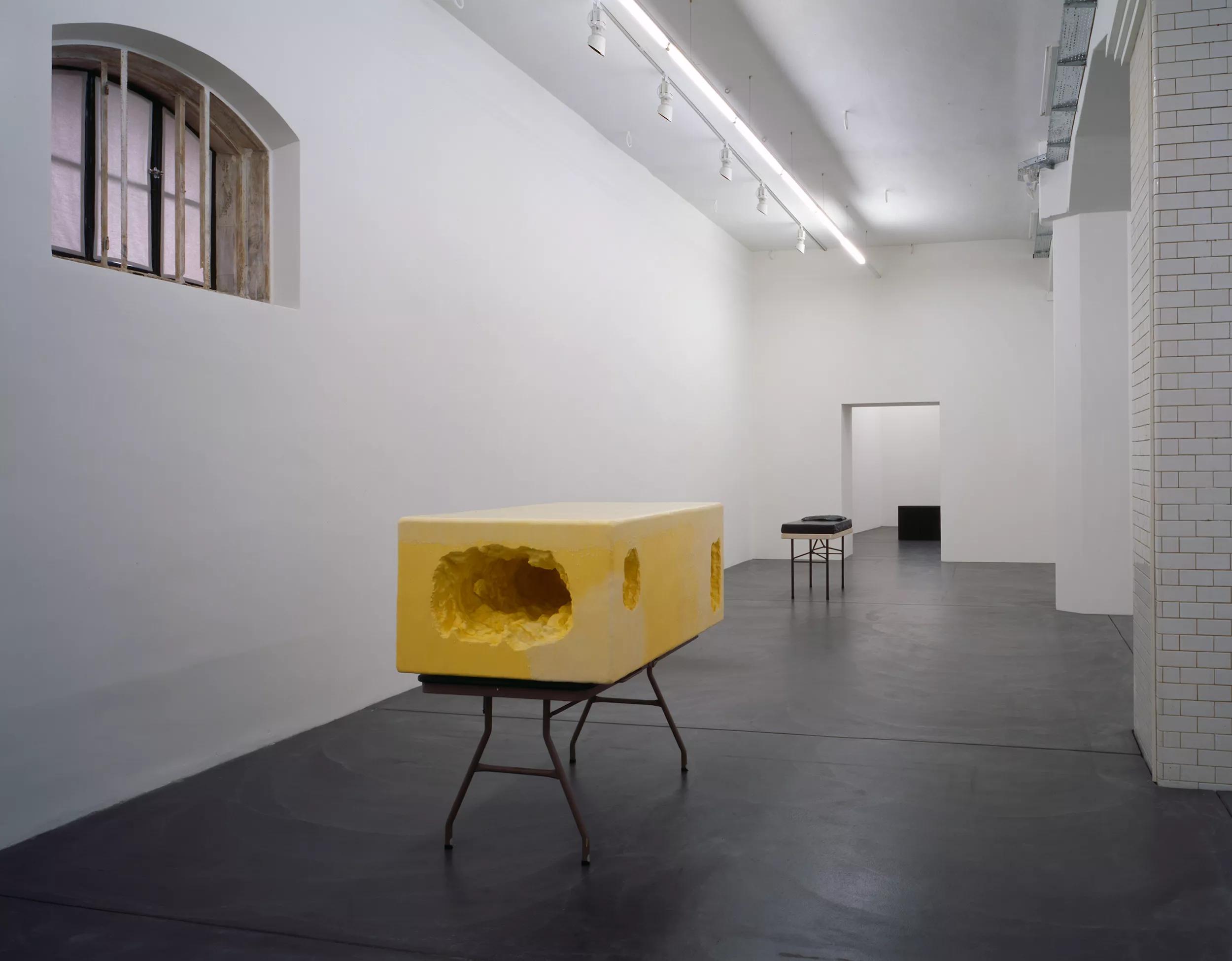 Installation view image for Installation views