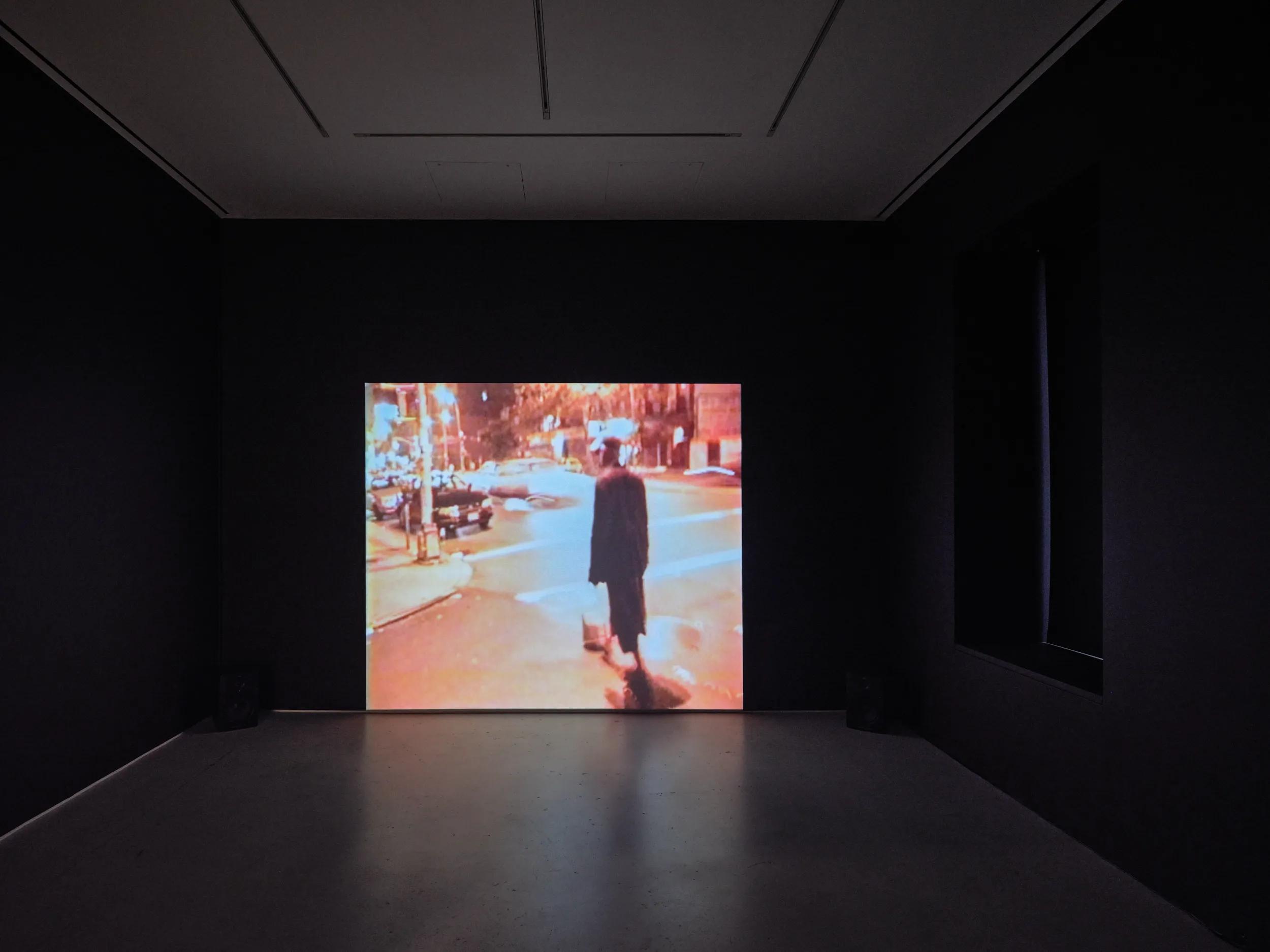 Image for exhibition titled David Hammons
