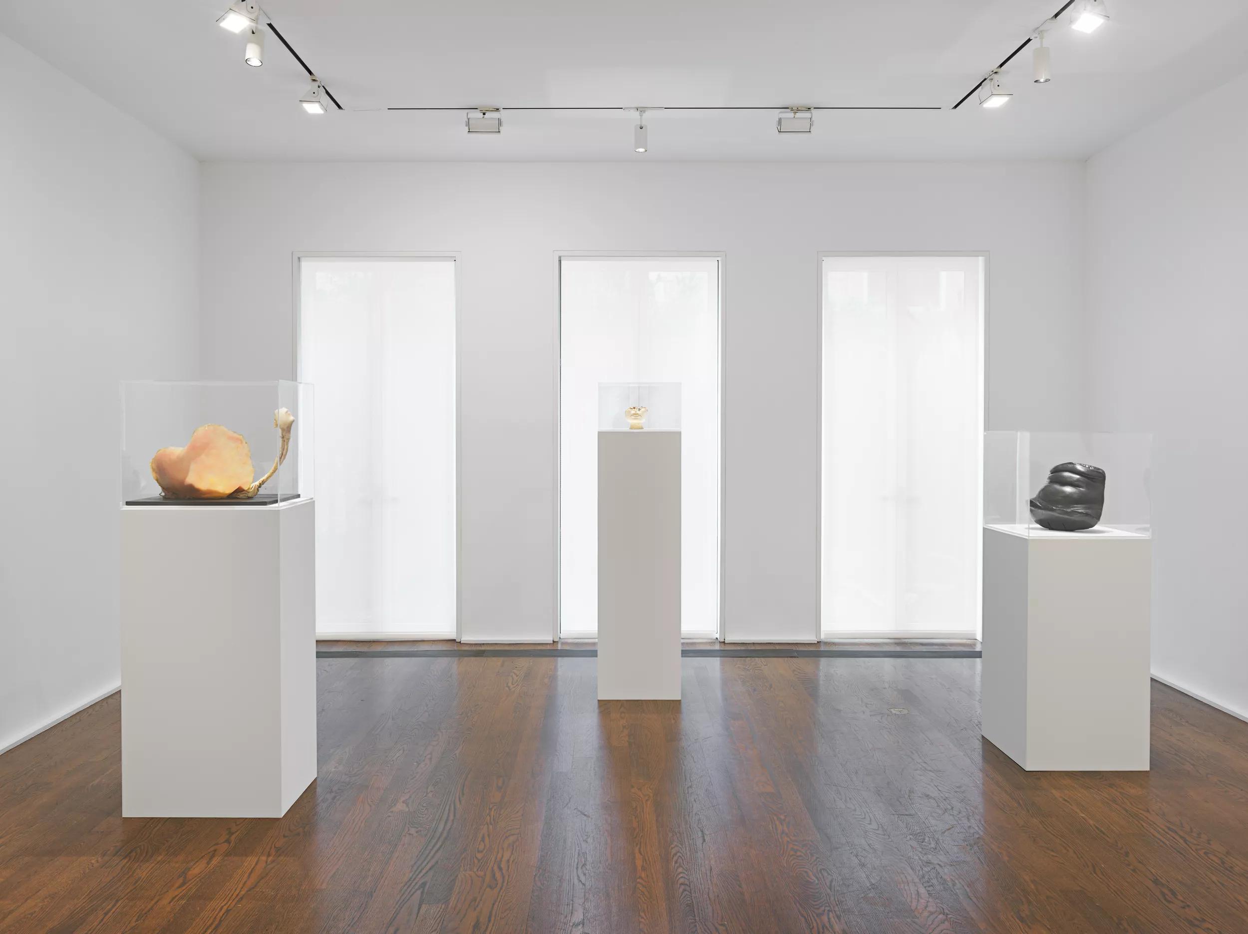 Installation view image for Installation views
