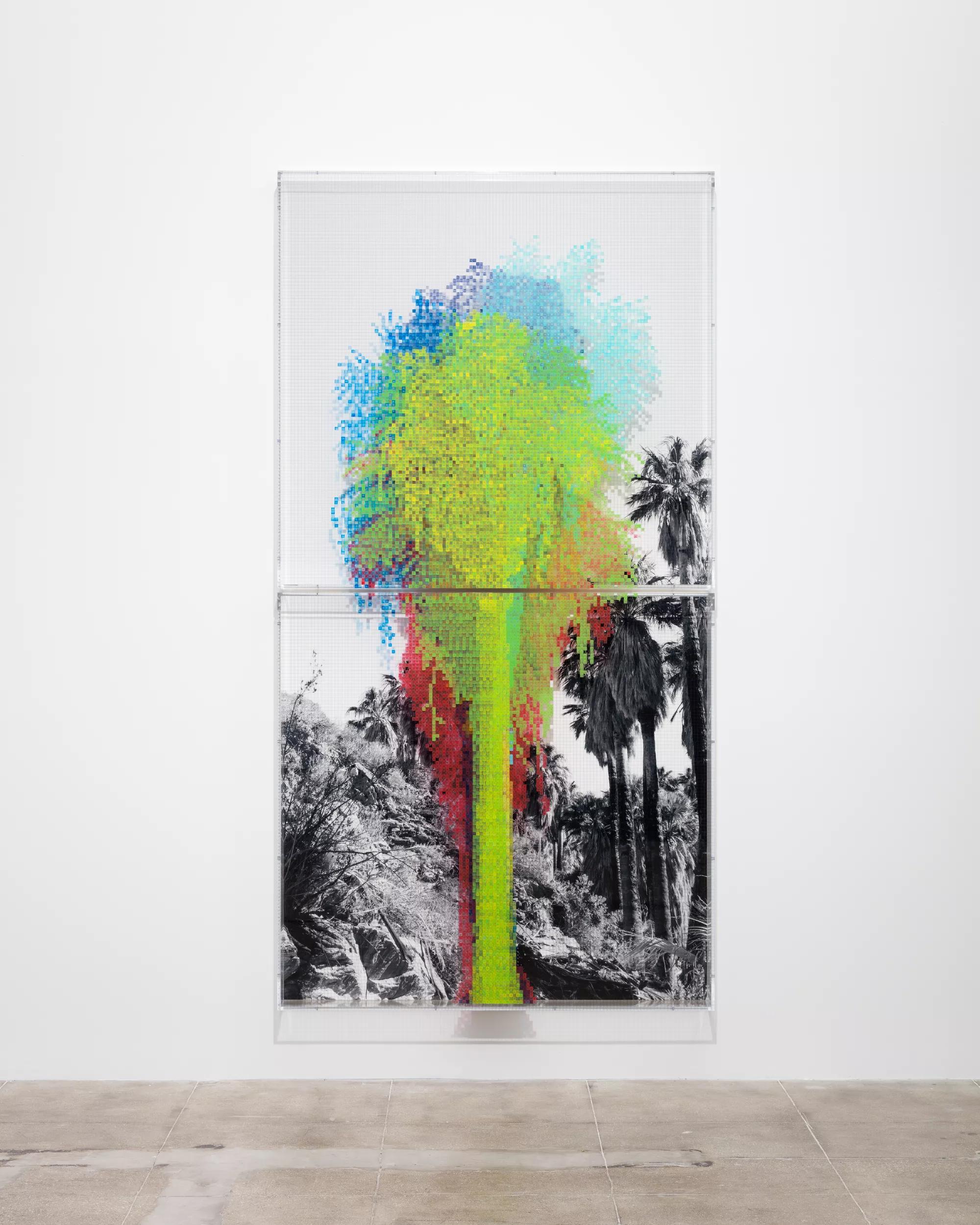 Image for exhibition 
