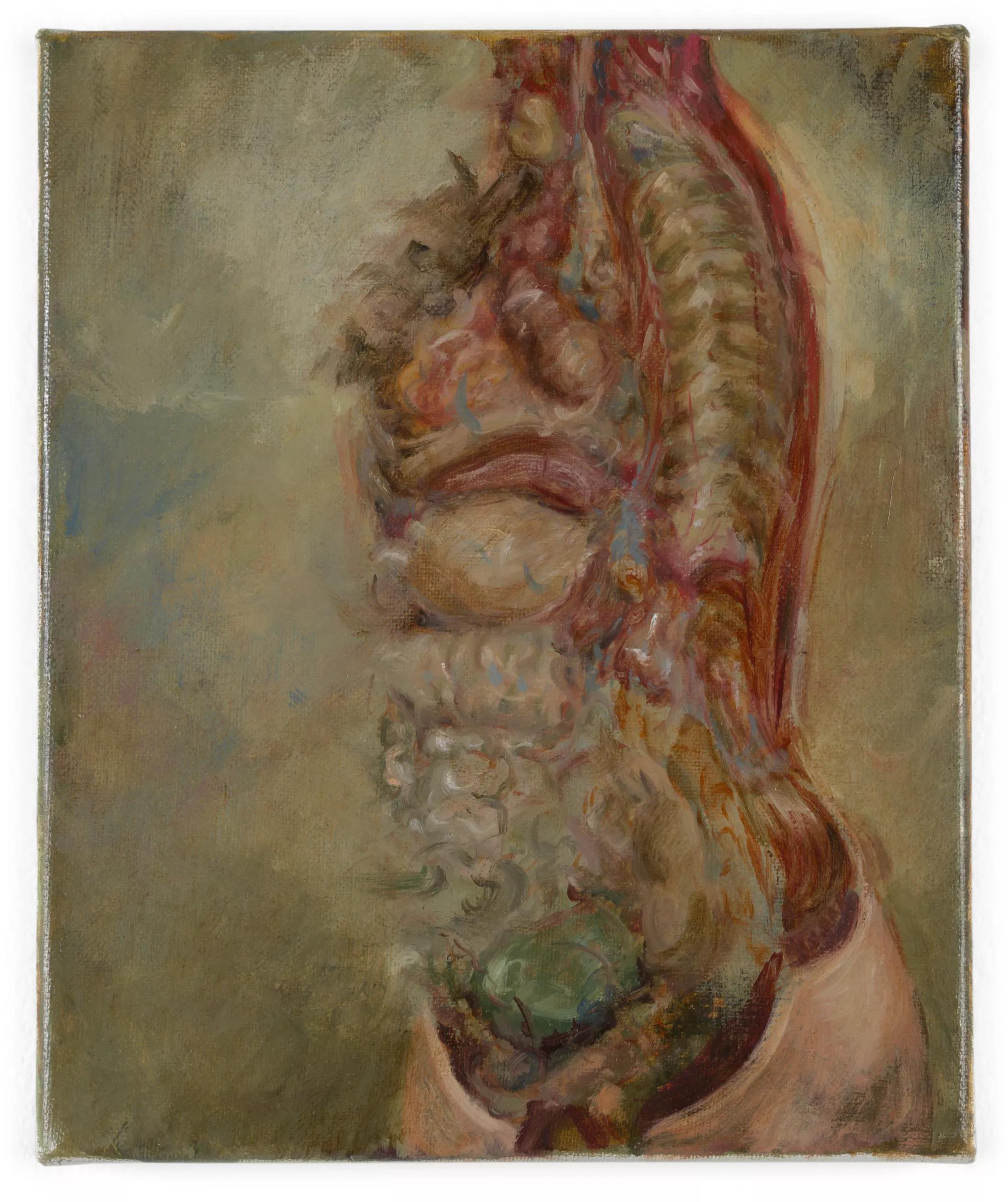 Image for exhibition 