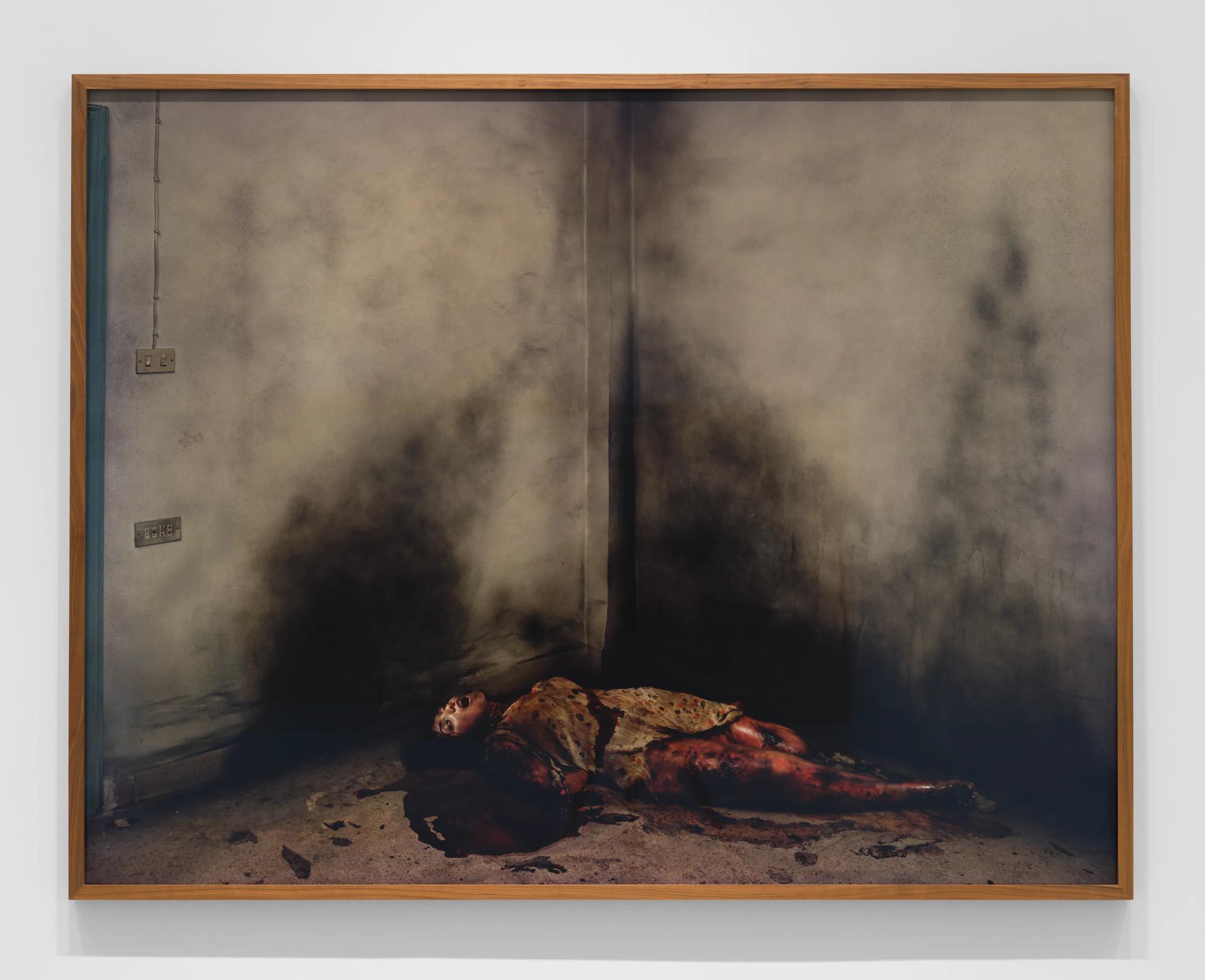 Image for exhibition titled Taryn Simon