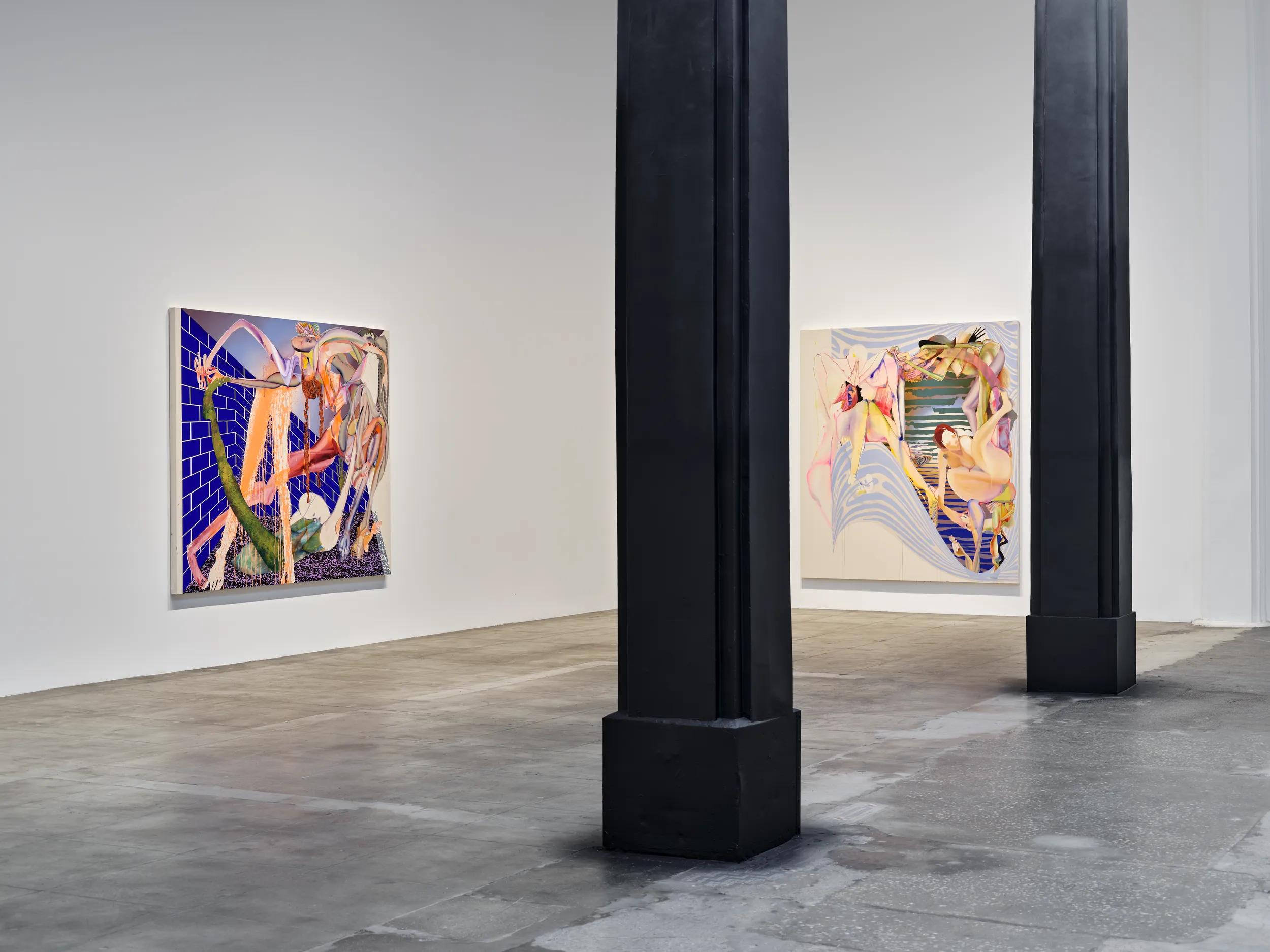 Installation view image for Installation Views