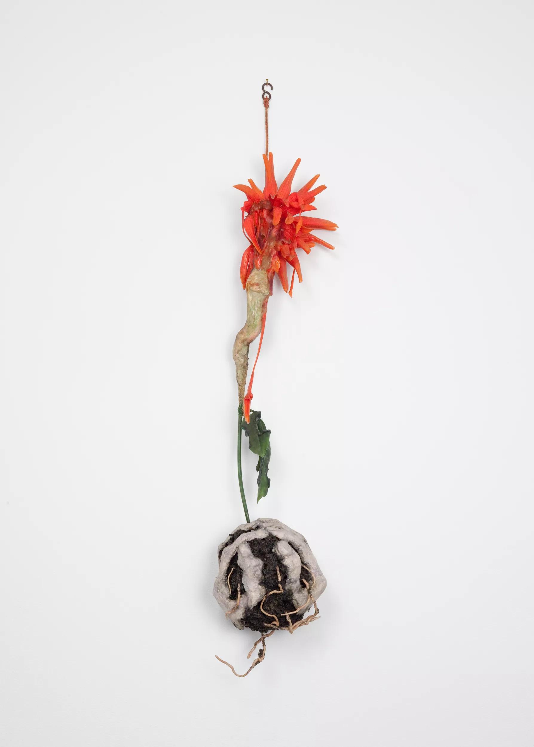 Image for exhibition 