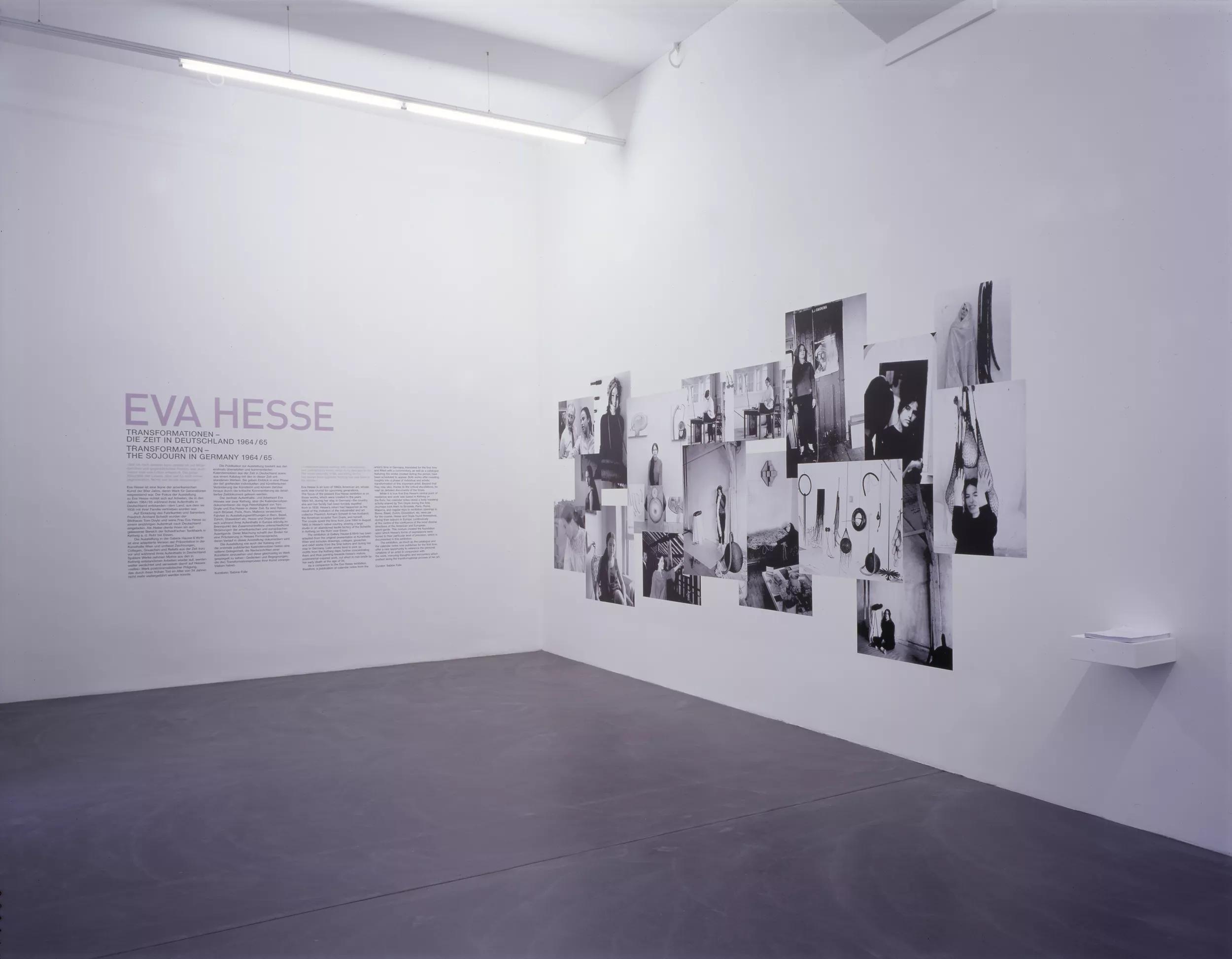 Installation view image for Installation views