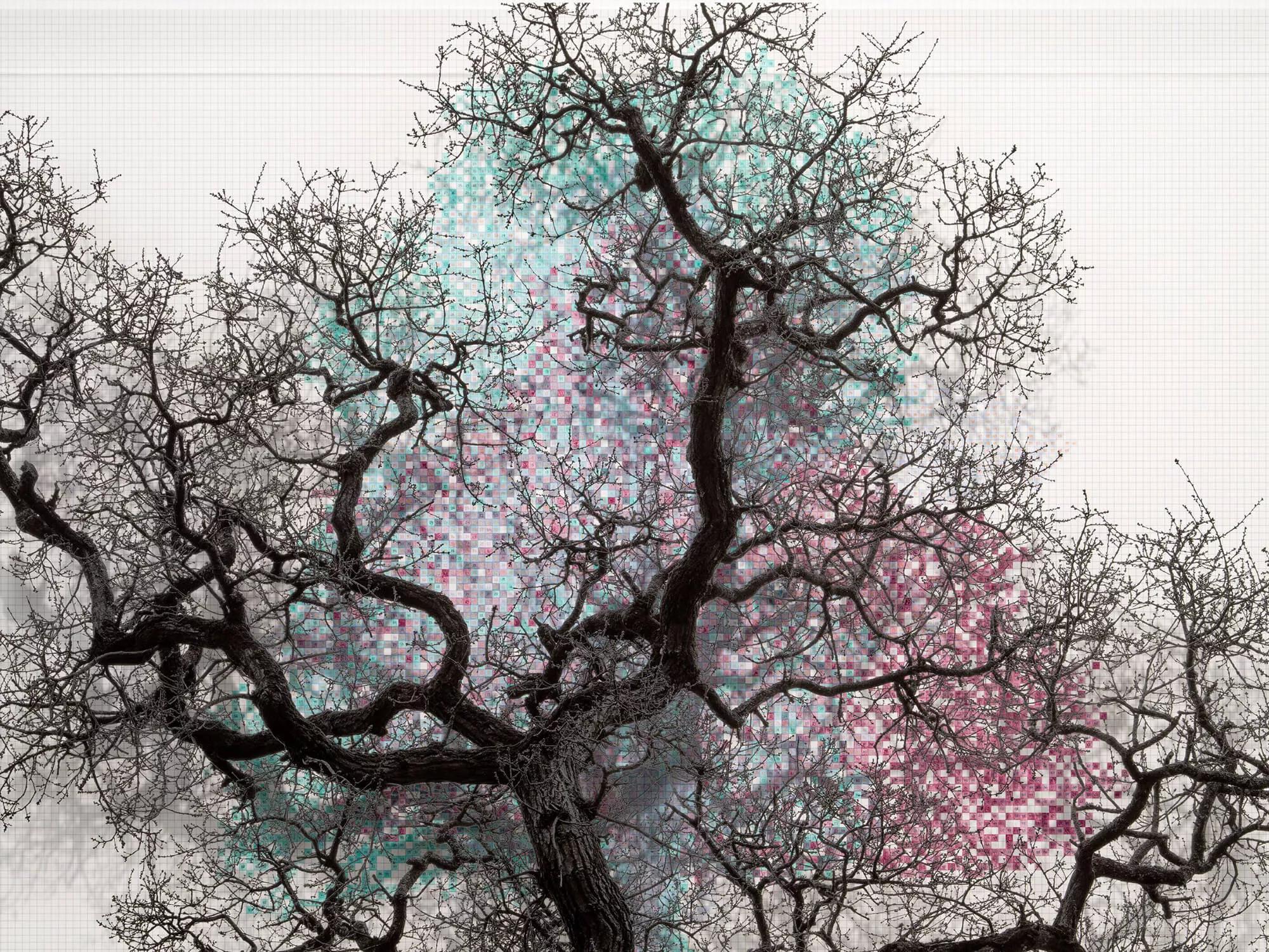 Hero image for exhibition titled Numbers and Trees: London Series 2, Tree #3, Minerva Walk