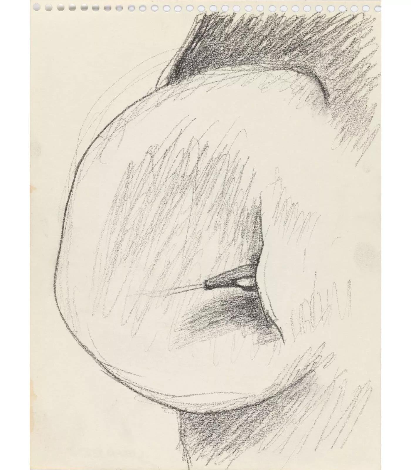 Image for exhibition titled Lee Lozano