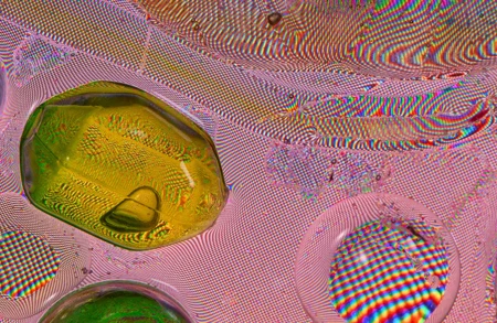 Thumbnail image for exhibition titled Light
