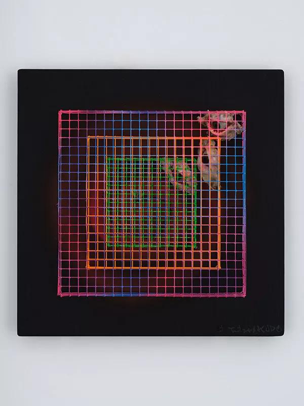 Image for exhibition titled Tetsumi Kudo