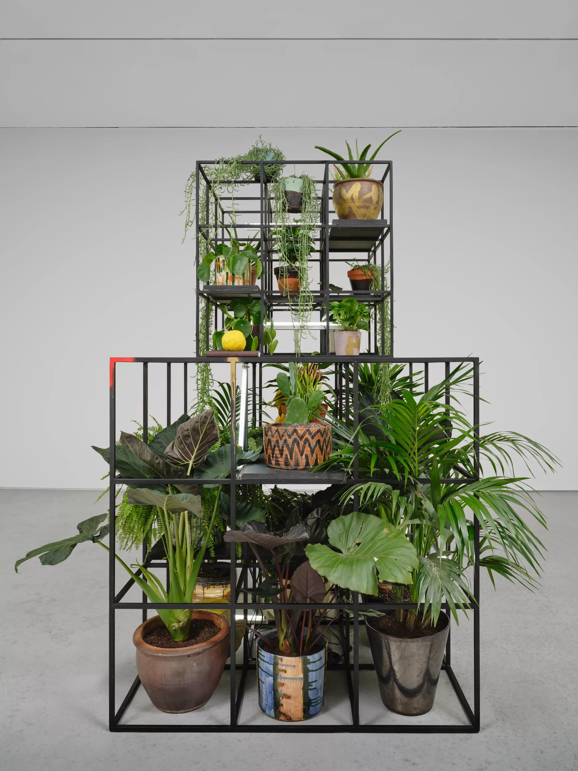 Image for exhibition titled Untitled Stranger