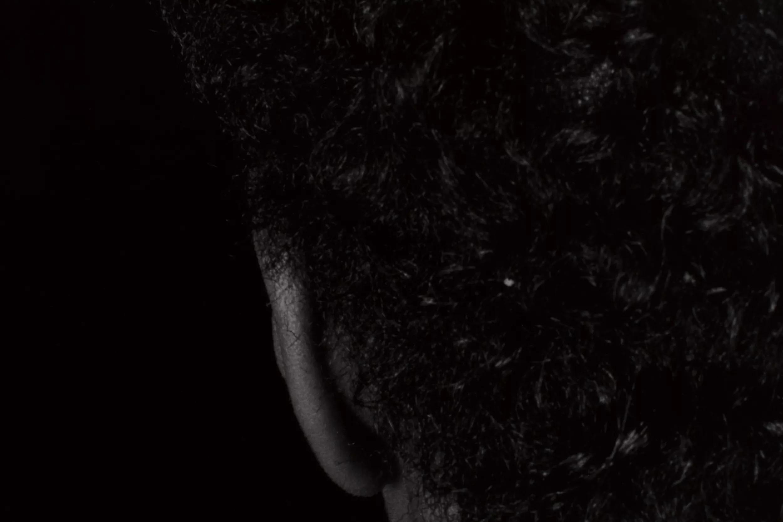 Hero image for article titled To Complete the Analogy: Lorna Simpson, or the Question of History