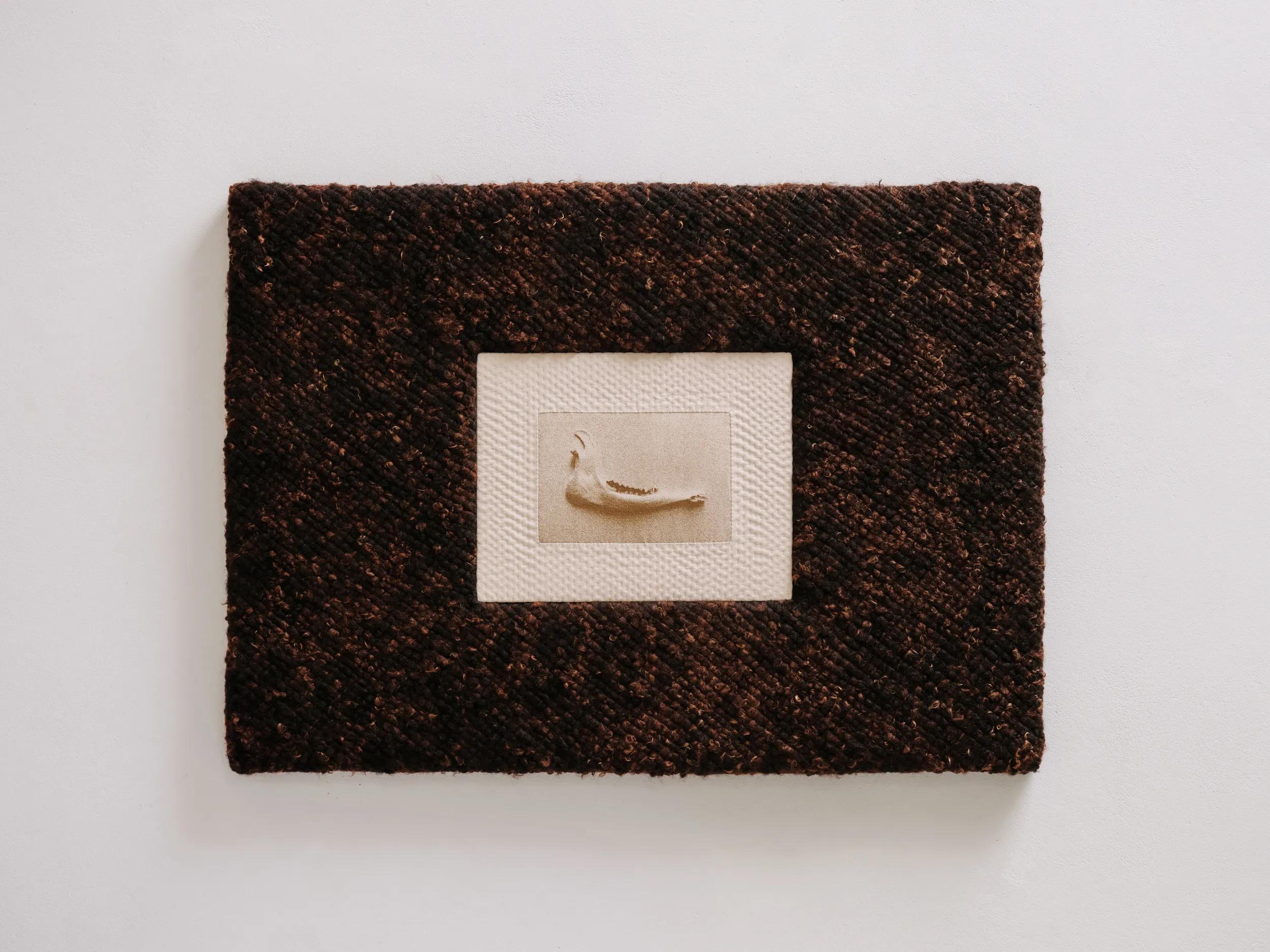 Image for exhibition titled Abigail Booth