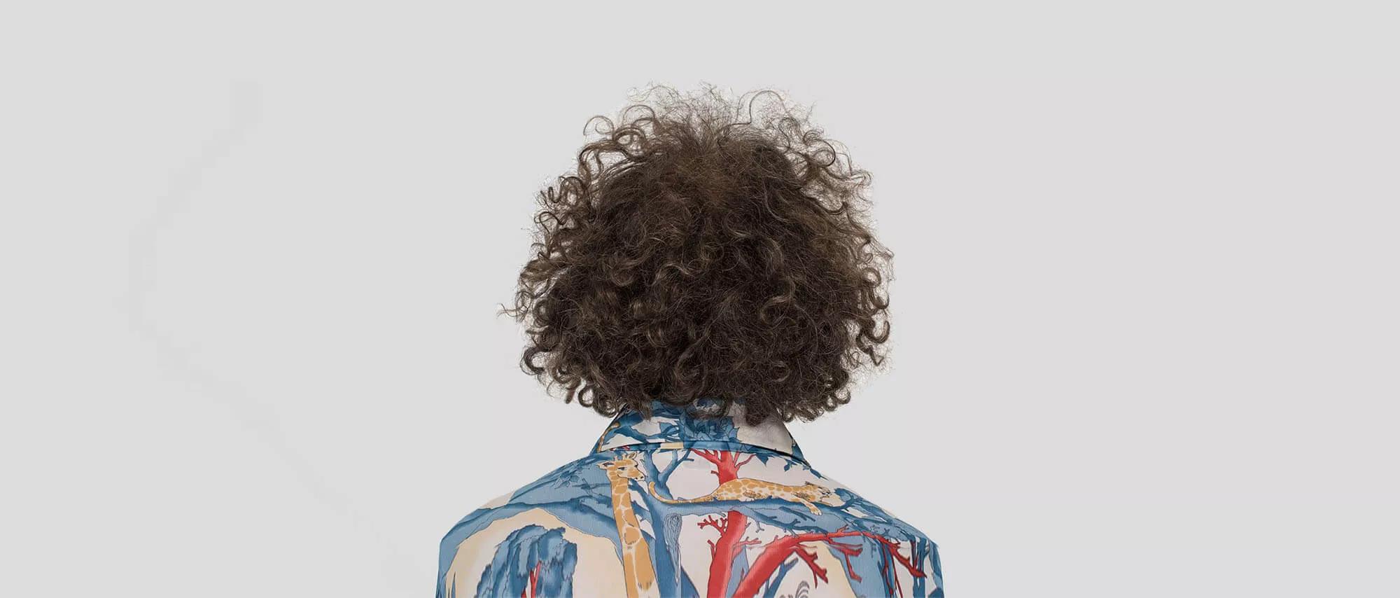 Hero image for exhibition titled Martin Creed <br>Three Toasts and Some Broccoli
