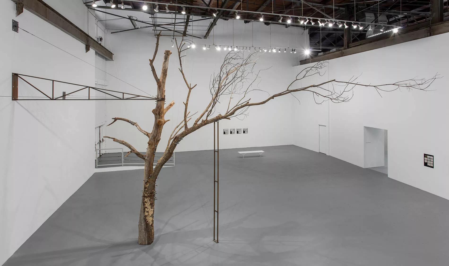 Hero image for exhibition titled Zoe Leonard<br>The ties that bind