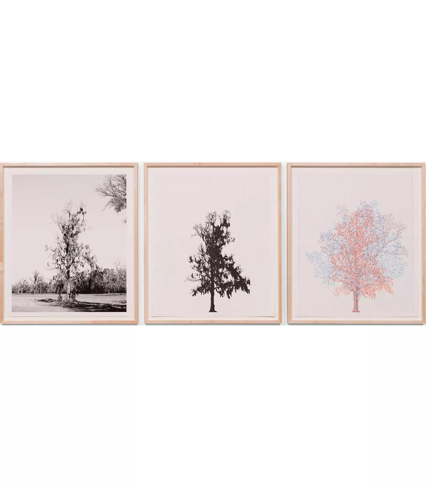 Image for exhibition titled Charles Gaines