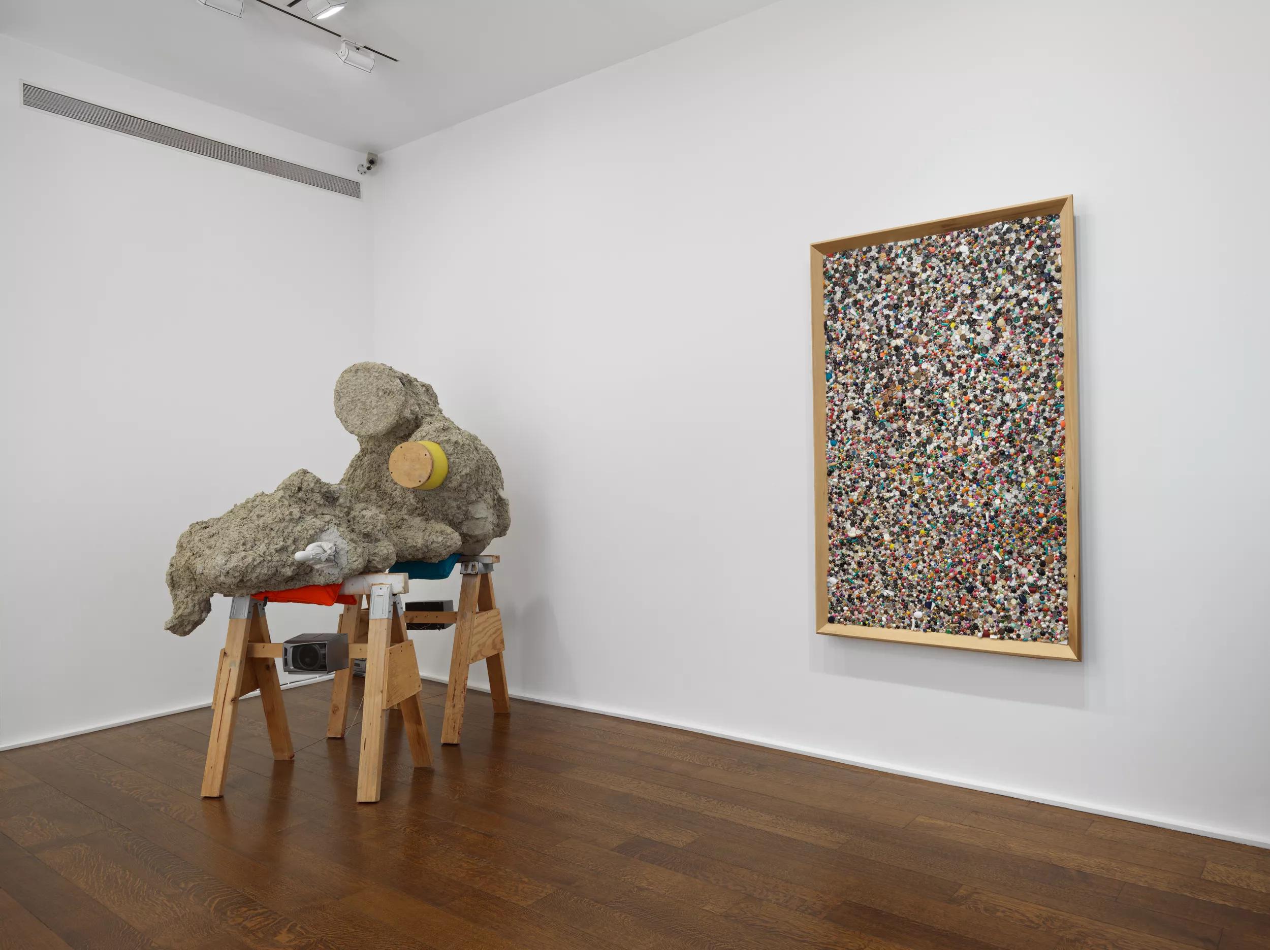 Installation view image for Installation views