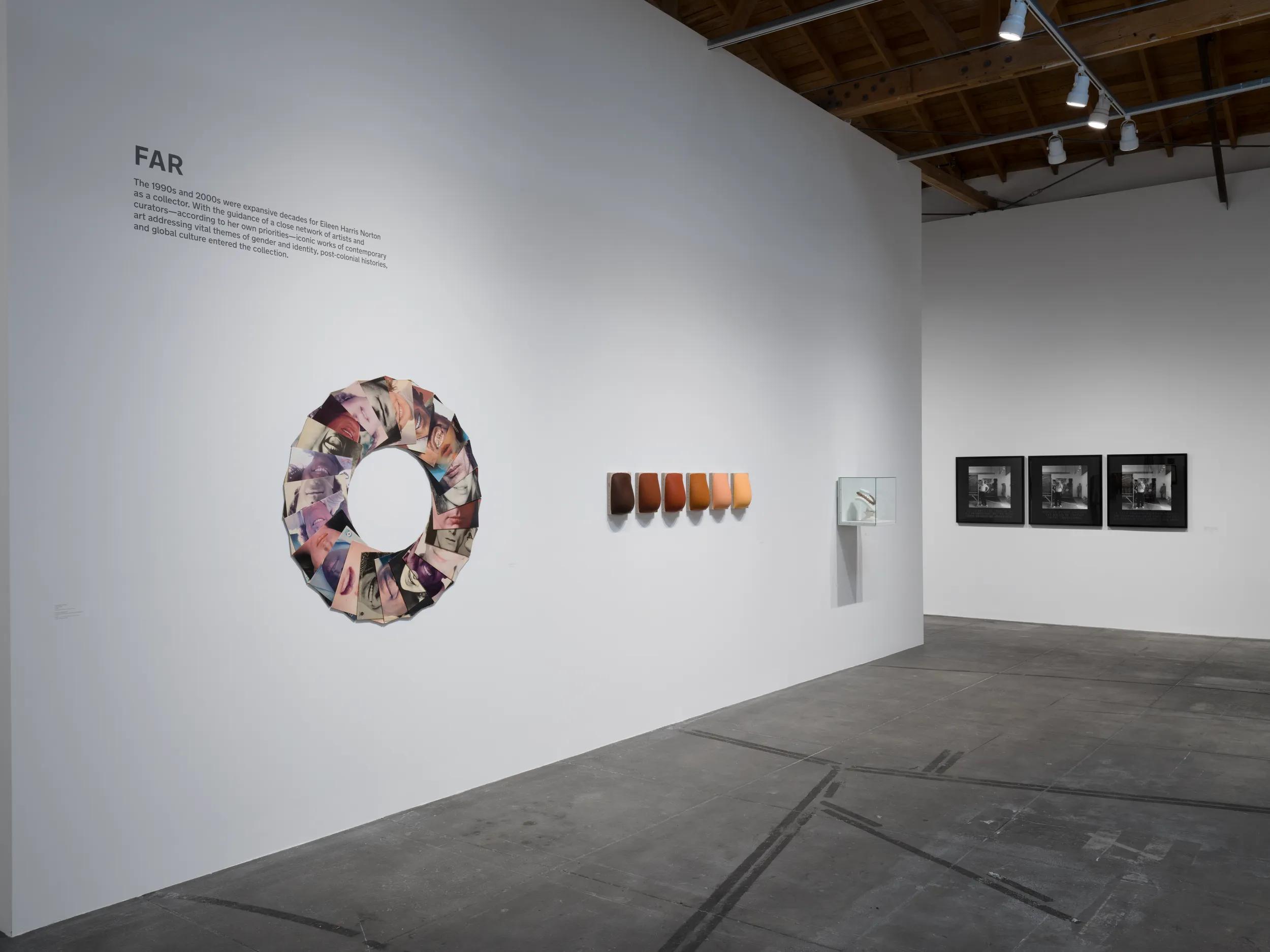 Installation view image for Installation Views