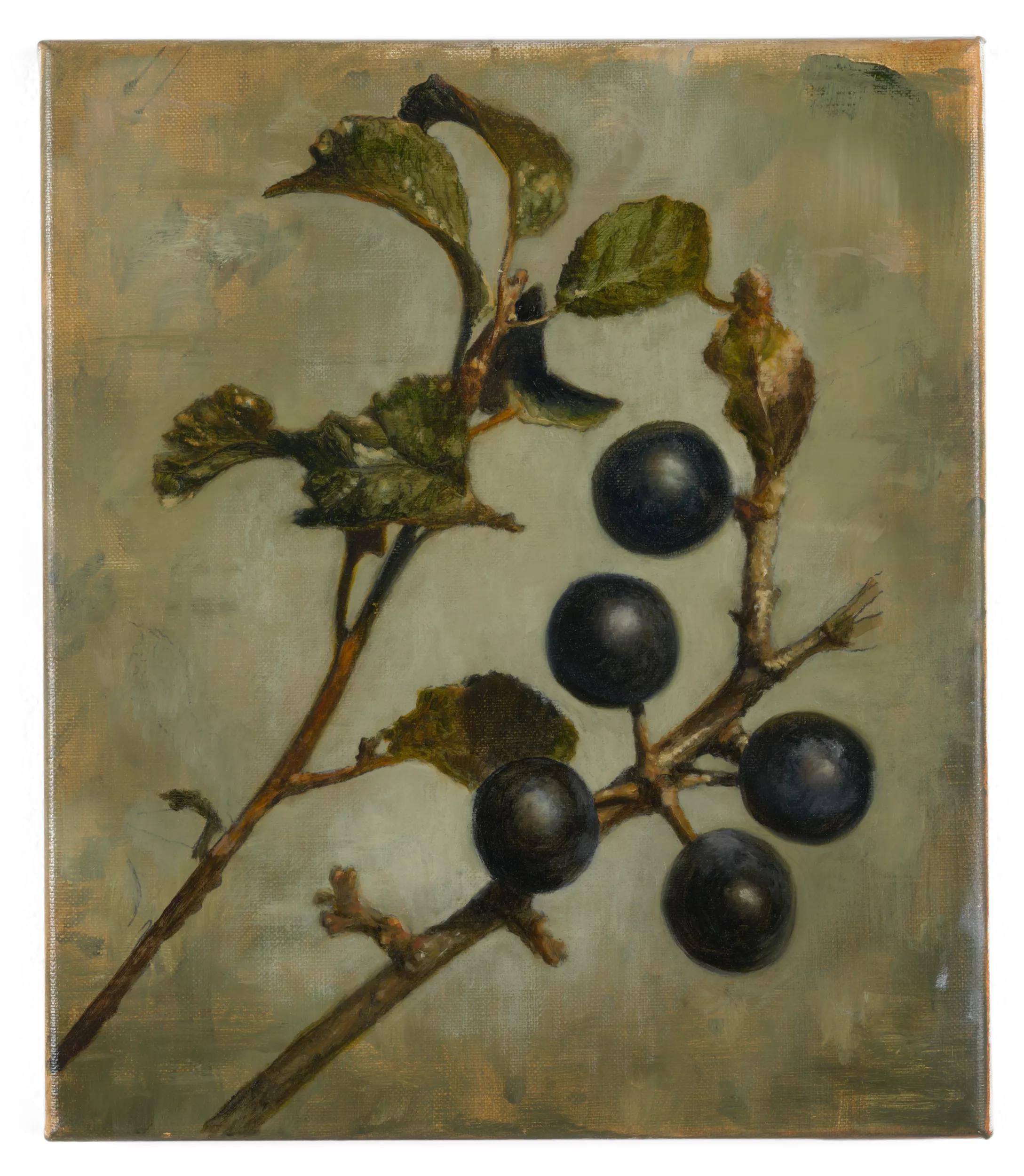 Image for exhibition 