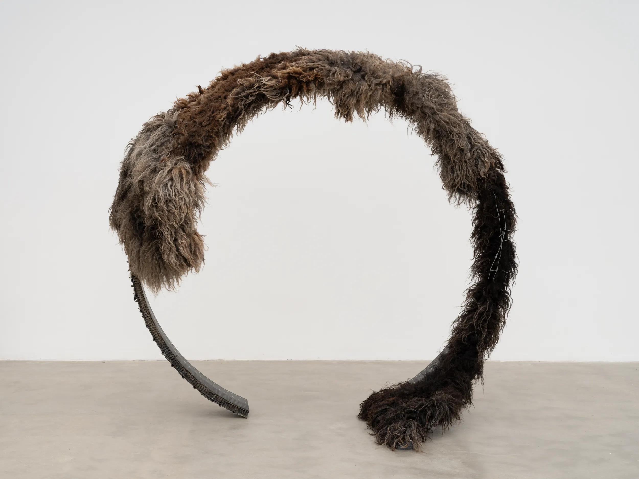 Image for exhibition titled Rachael Louise Bailey