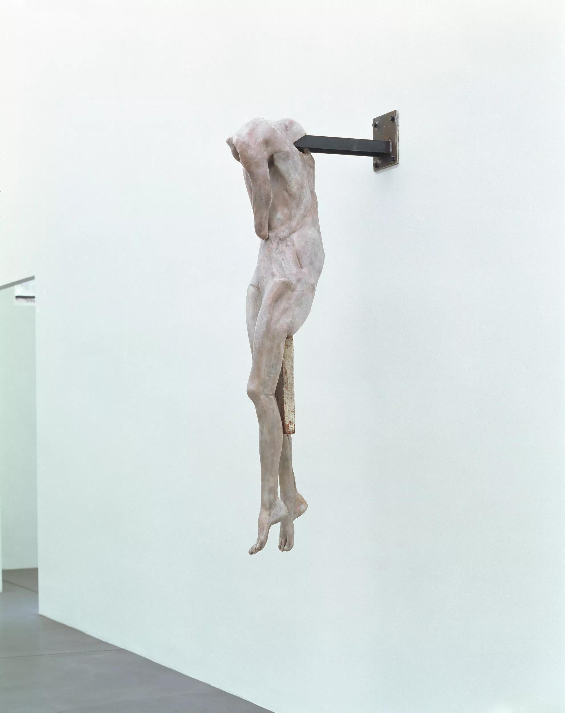 Image for Berlinde De Bruyckere