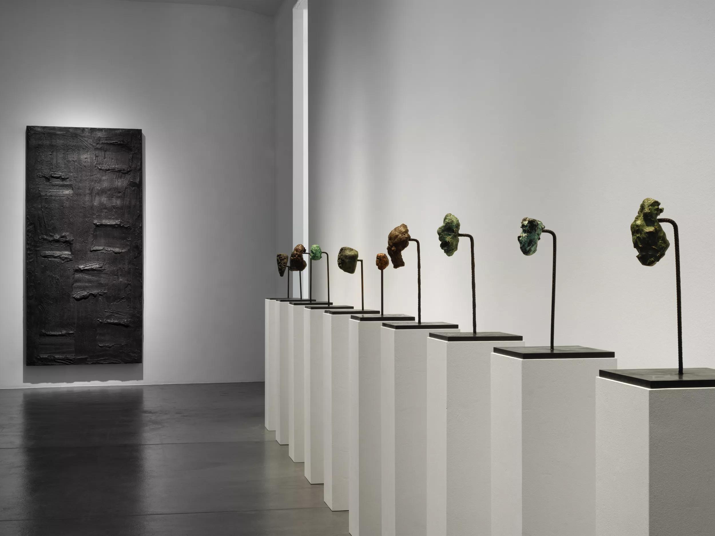 Installation view image for Installation views