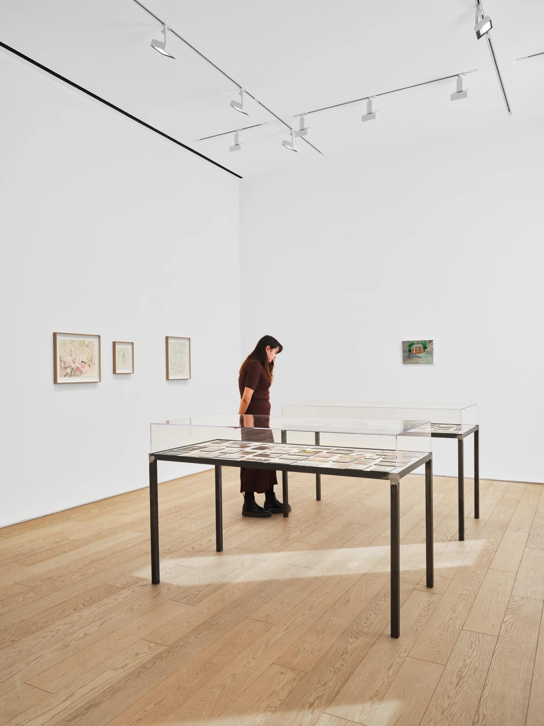 Installation view image for INSTALLATION VIEWS