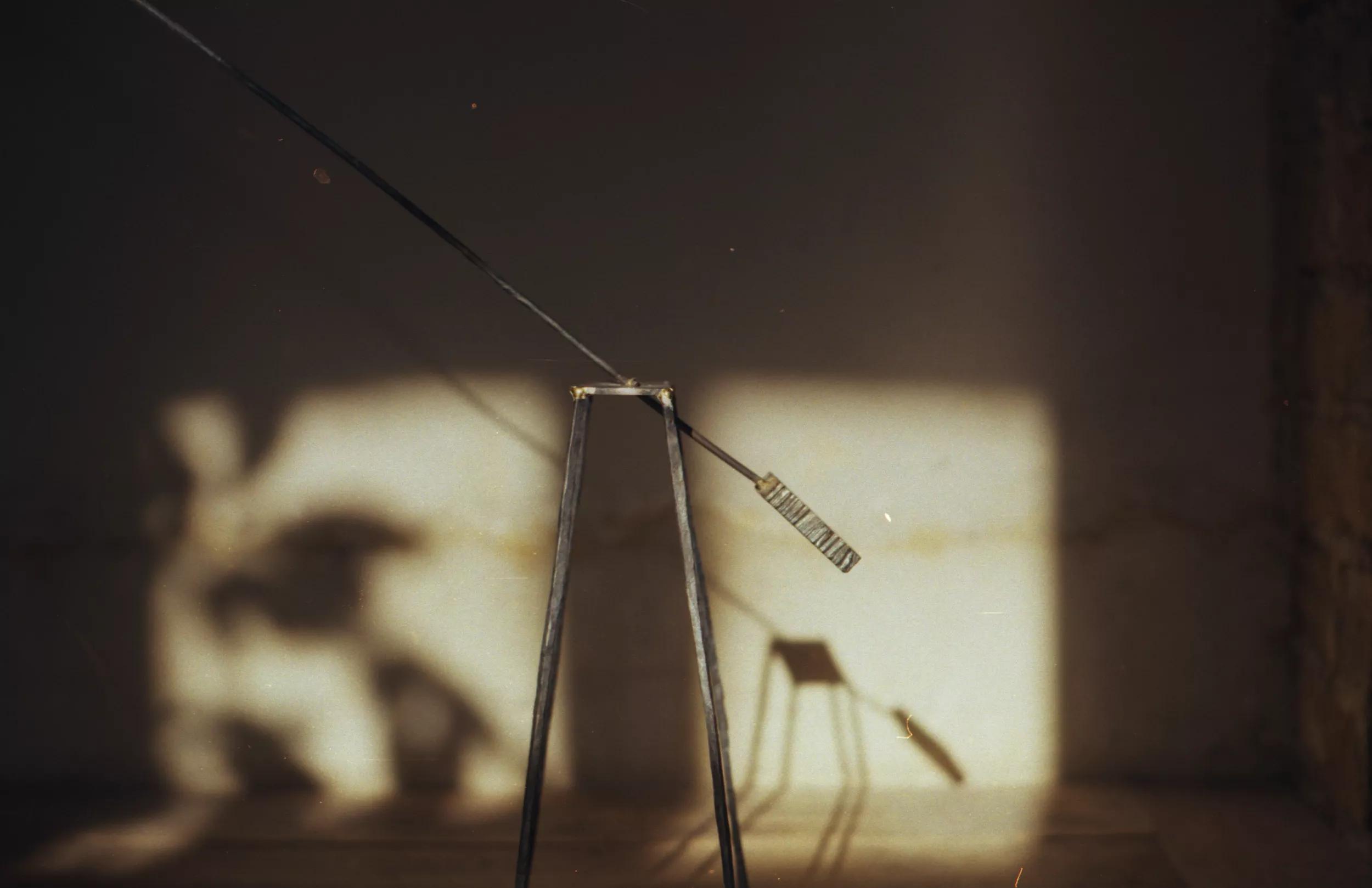 Image for exhibition 