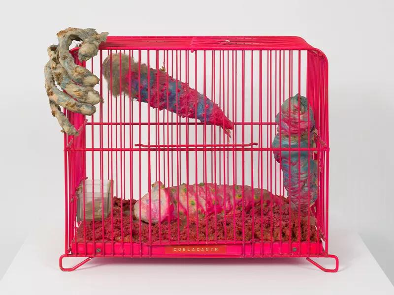 Image for exhibition titled Tetsumi Kudo