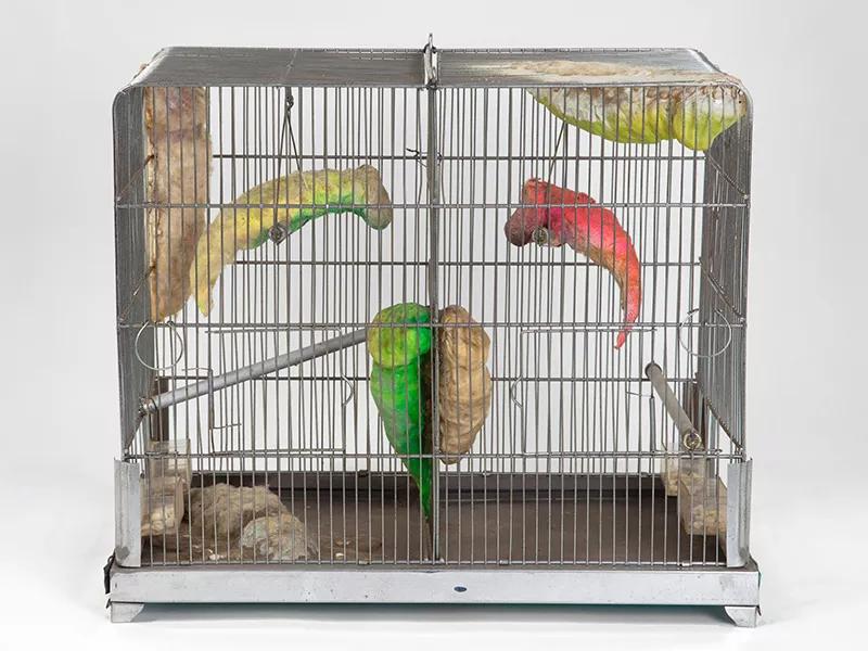 Image for exhibition titled Tetsumi Kudo