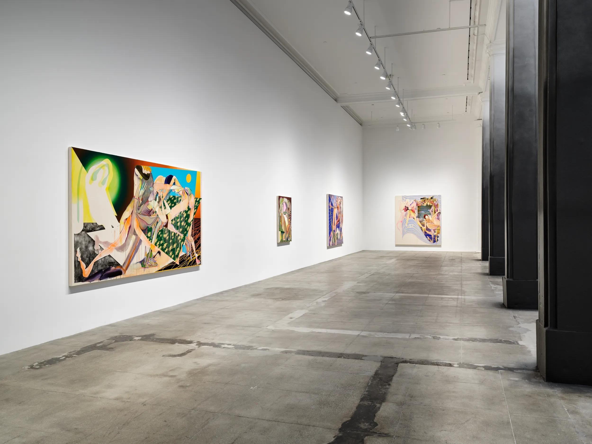 Installation view image for Installation Views