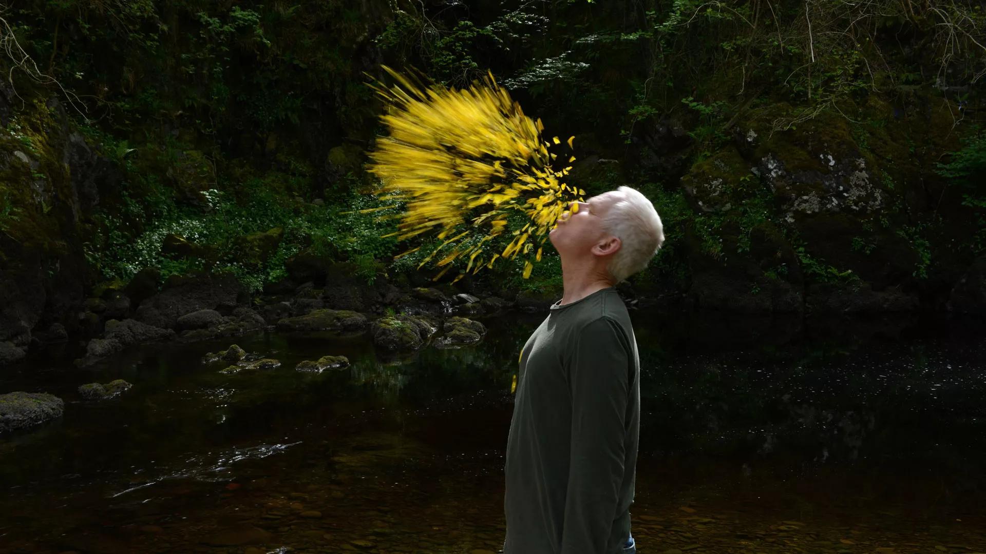 Hero image for event titled Film screening: ‘Andy Goldsworthy: Leaning Into The Wind’, plus talk by Kim Wilkie